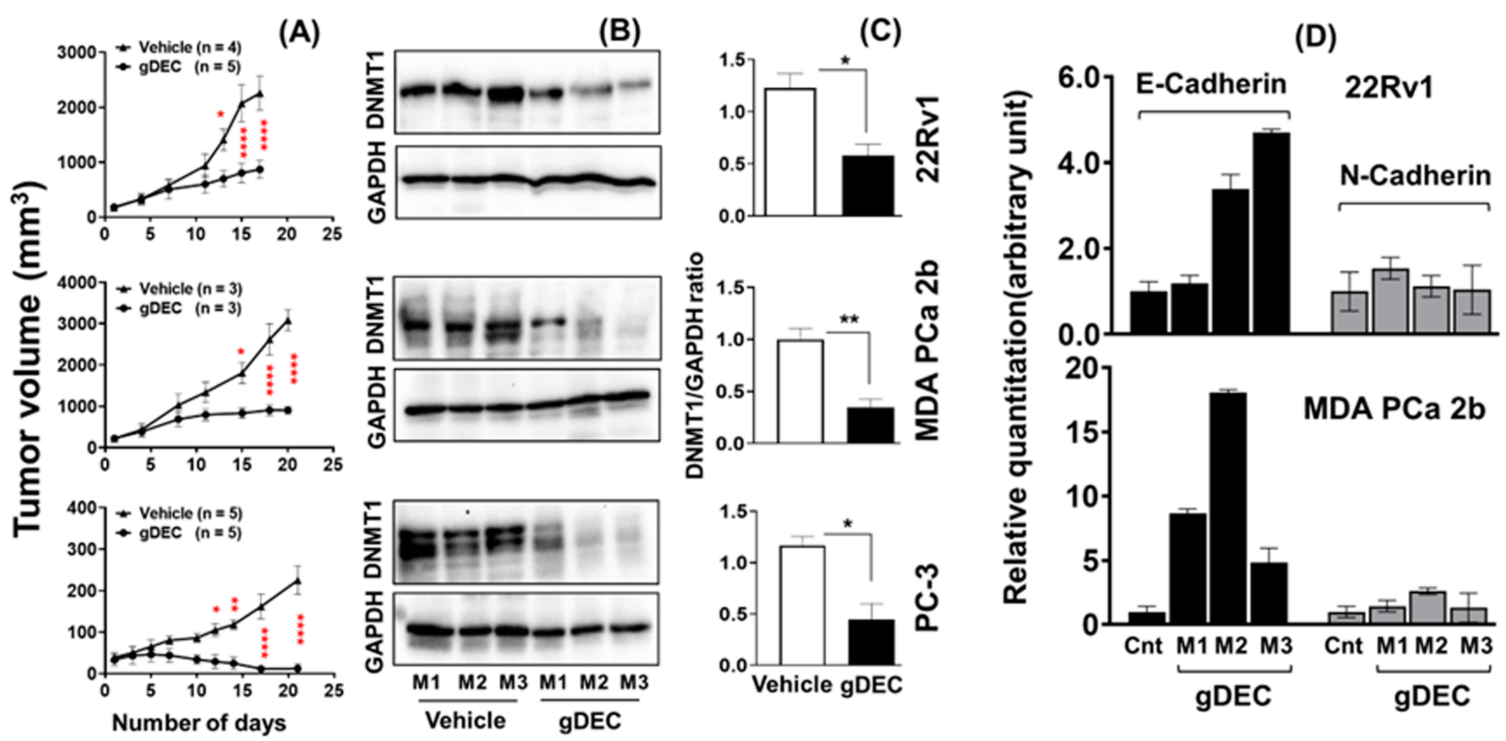 Cancers 15 02763 g005