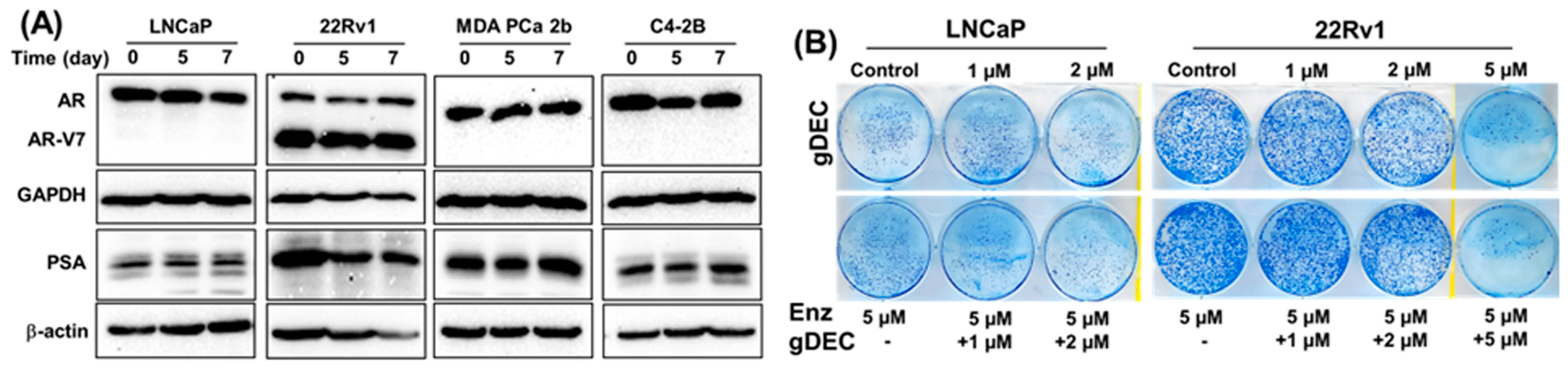 Cancers 15 02763 g006