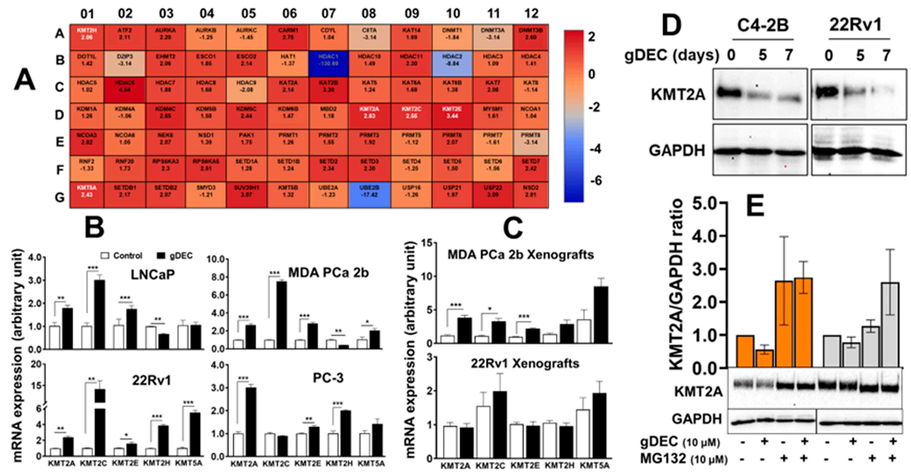 Cancers 15 02763 g007