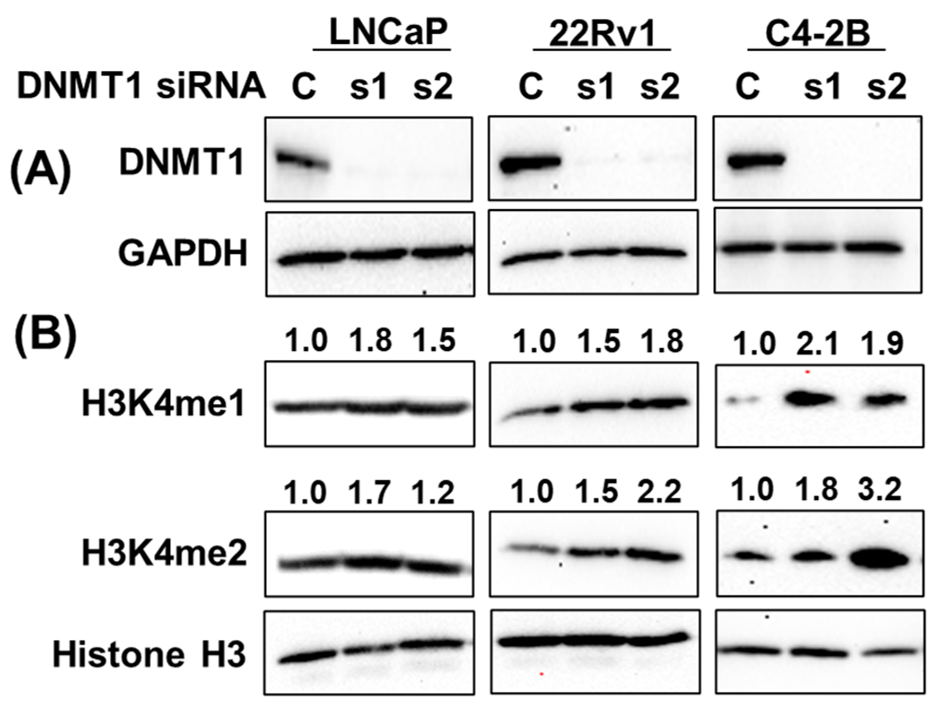 Cancers 15 02763 g009