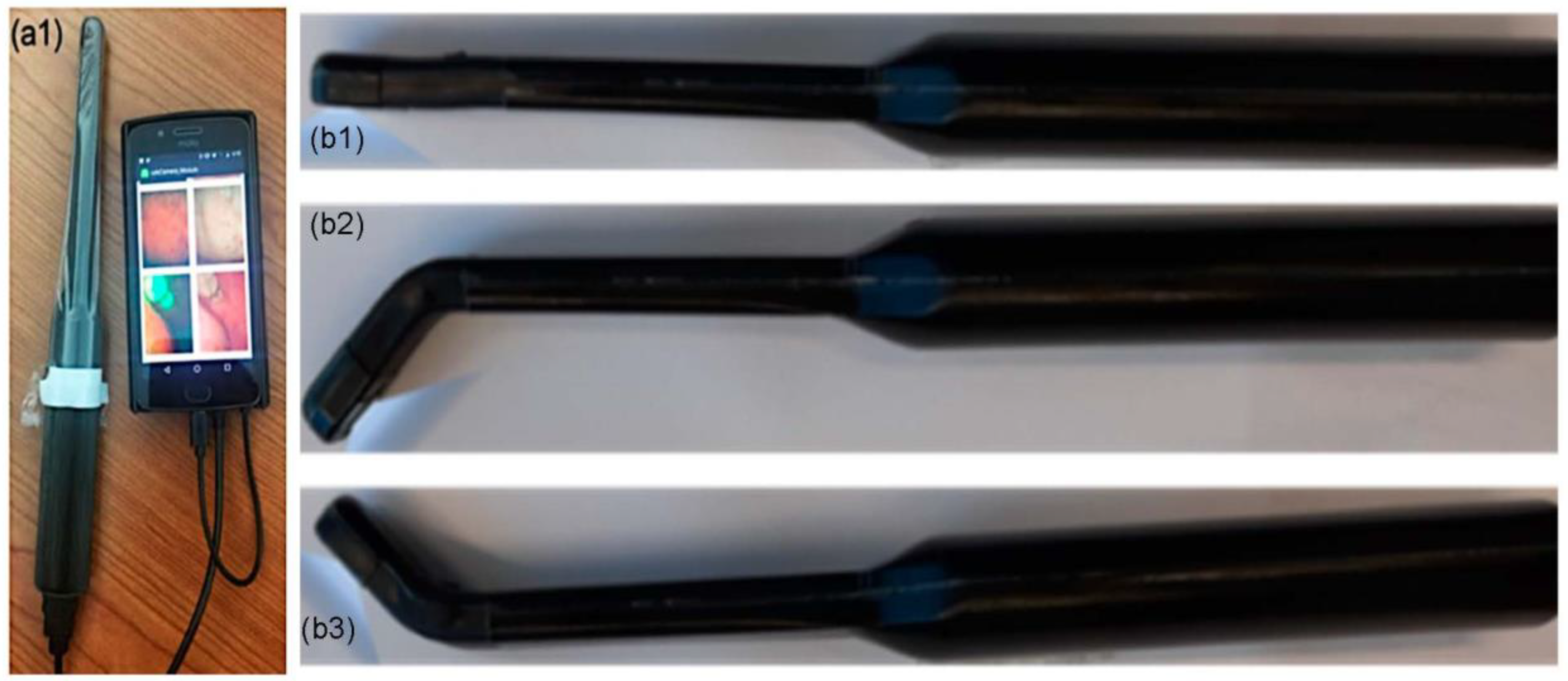 Cancers 15 02775 g001 Cancers 15 02775 g001