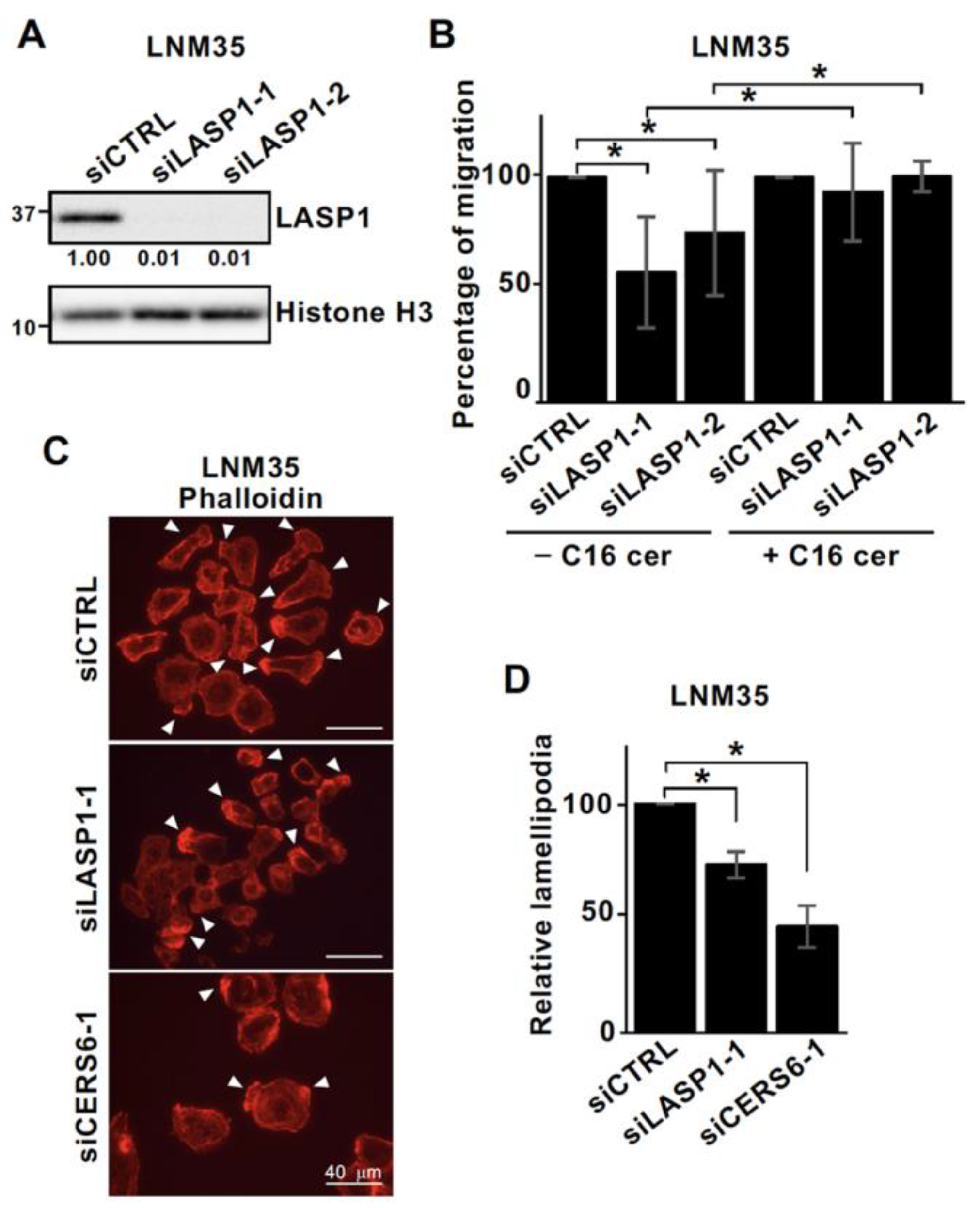 Cancers 15 02781 g003 Cancers 15 02781 g003