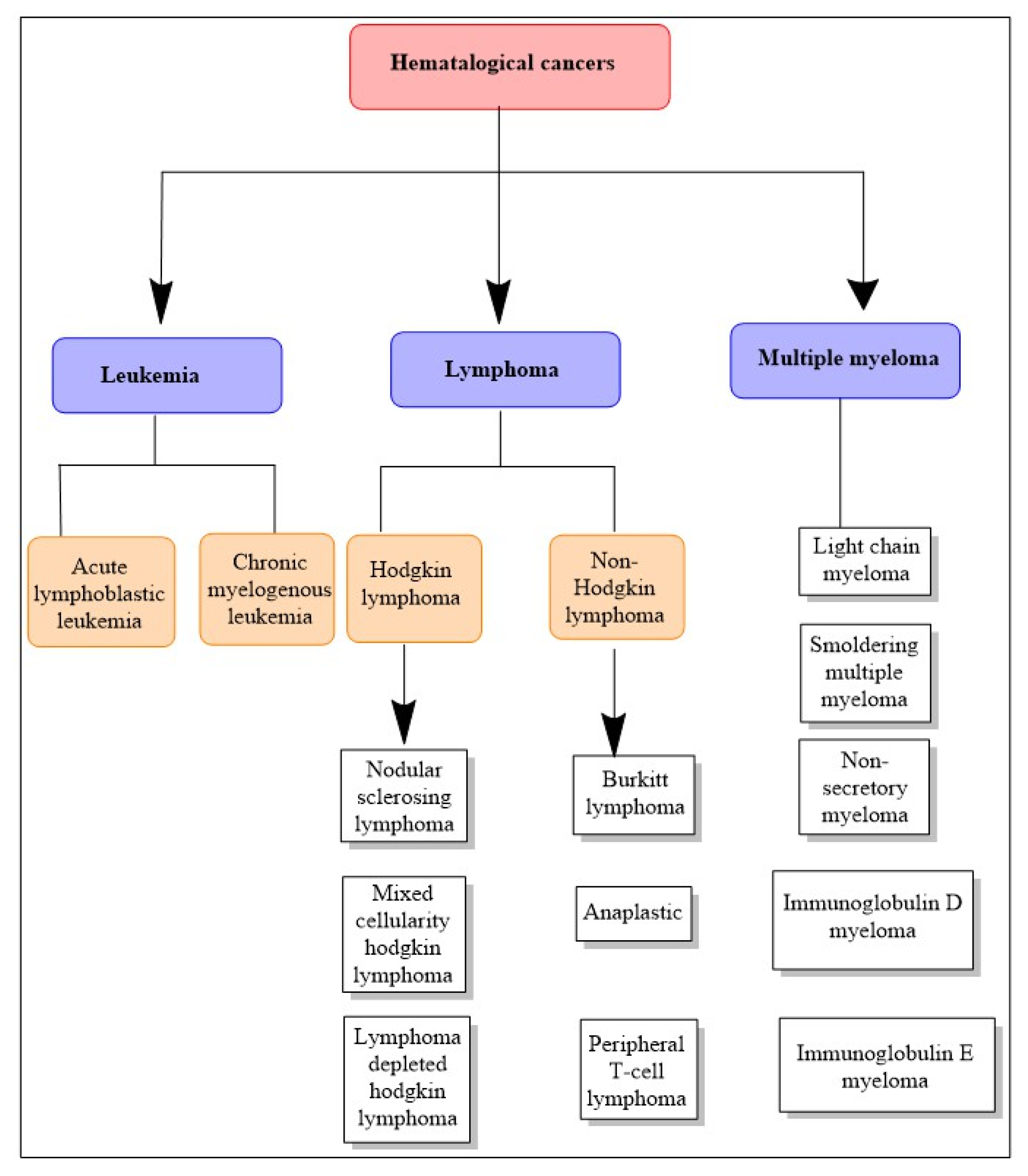 Cancers 15 02808 g002 Cancers 15 02808 g002