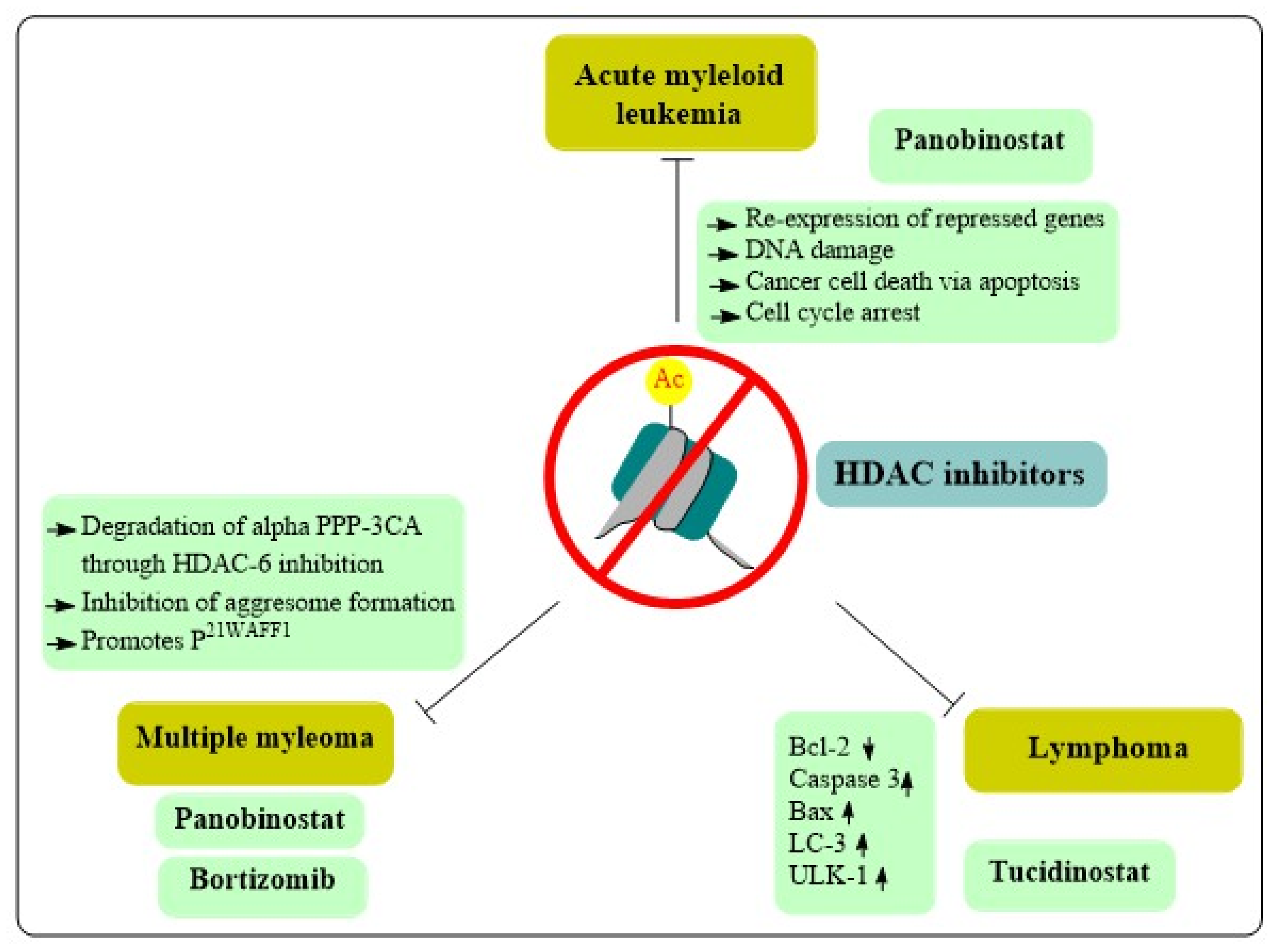 Cancers 15 02808 g003 Cancers 15 02808 g003