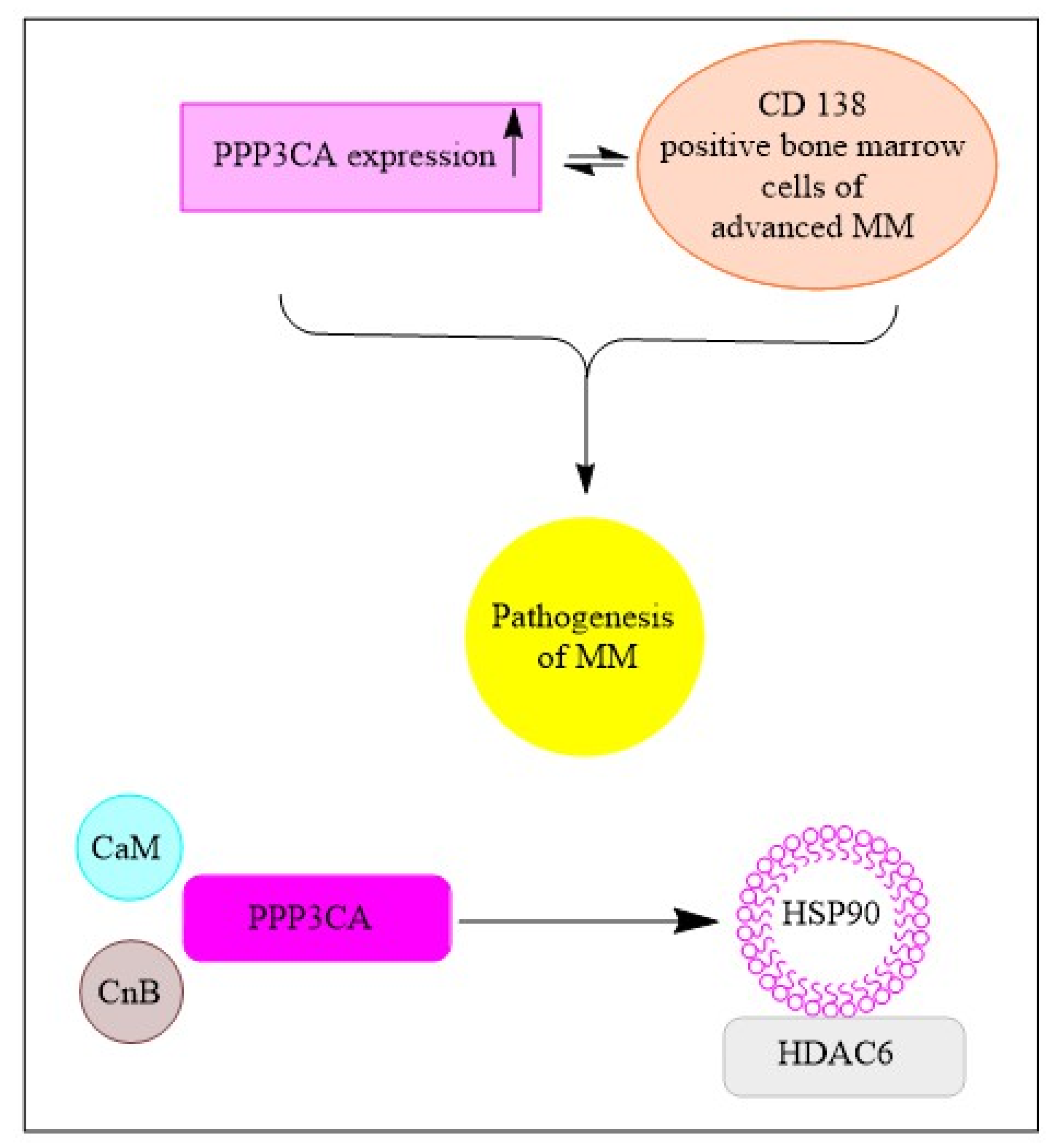 Cancers 15 02808 g004 Cancers 15 02808 g004