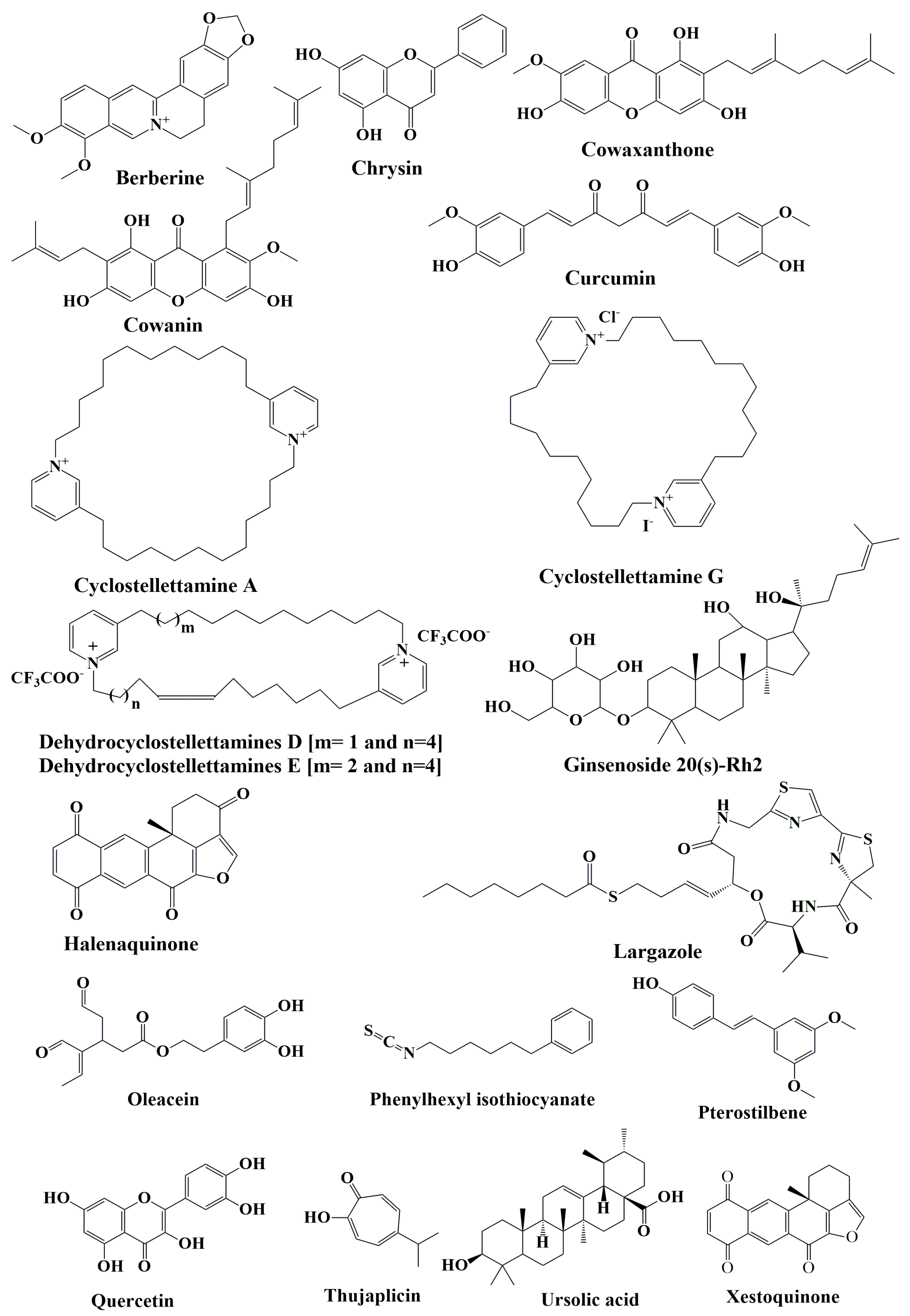 Cancers 15 02808 g006 Cancers 15 02808 g006