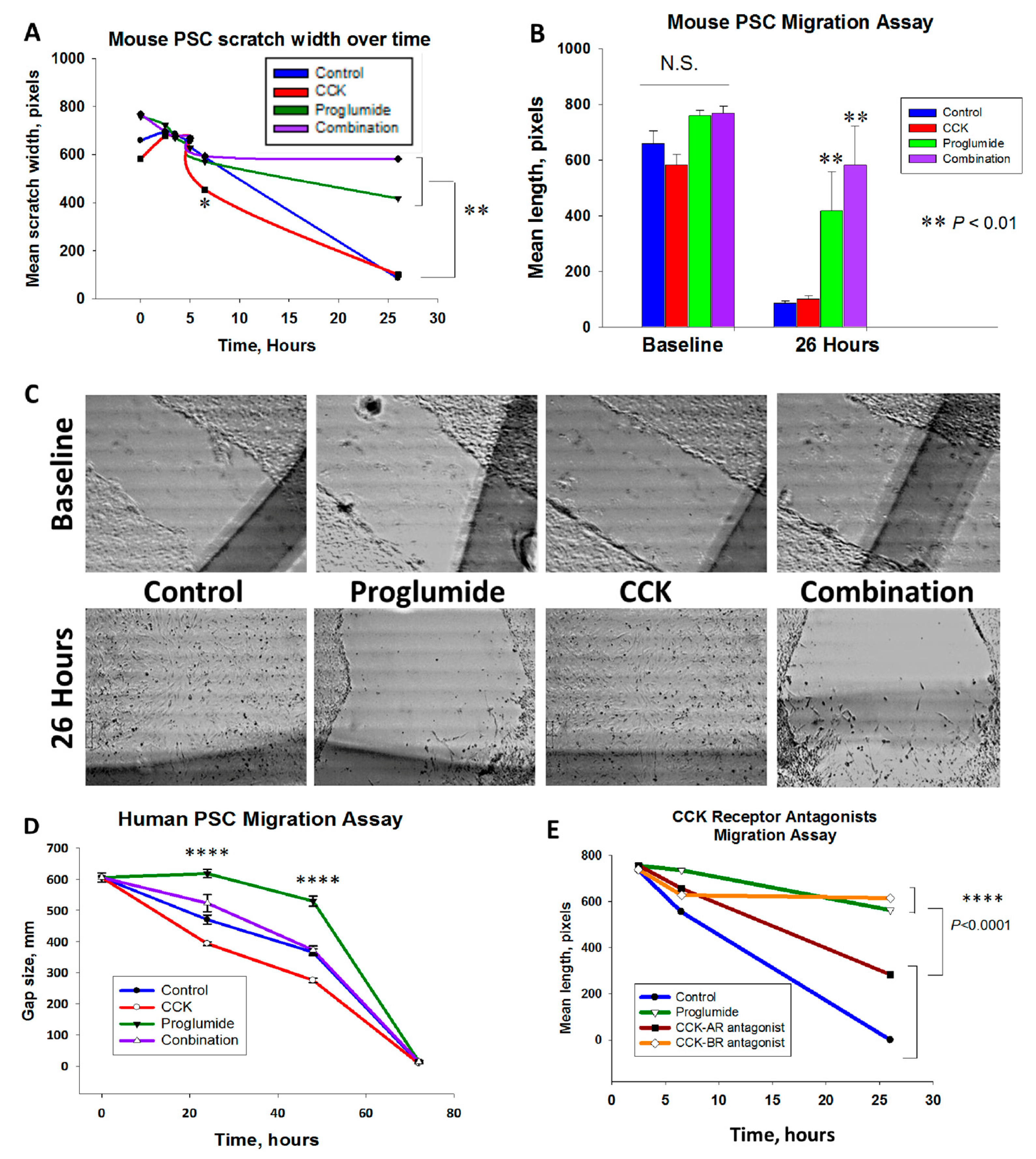 Cancers 15 02811 g002