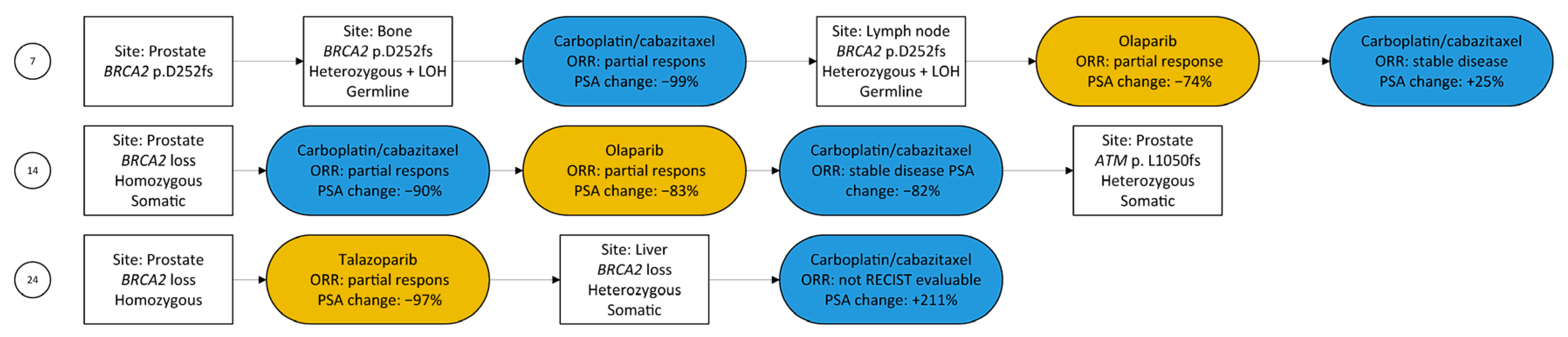 Cancers 15 02814 g0a5 Cancers 15 02814 g0a5