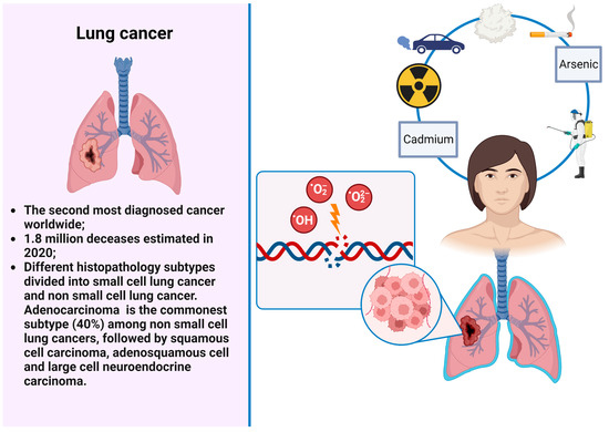 World Lung Cancer Day 2023: What is lung cleansing? Can it help prevent lung  cancer?