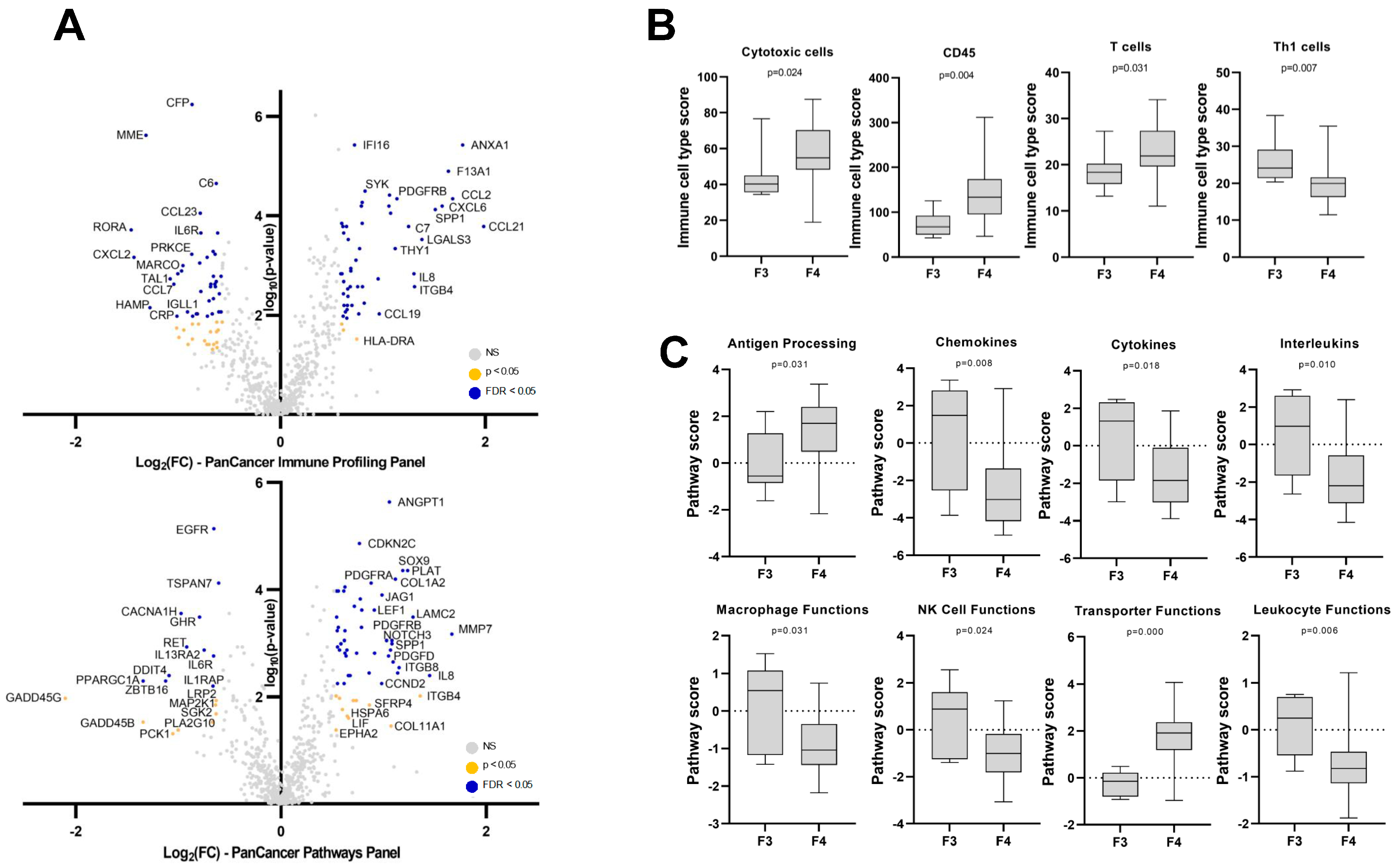 Cancers 15 02871 g002 Cancers 15 02871 g002