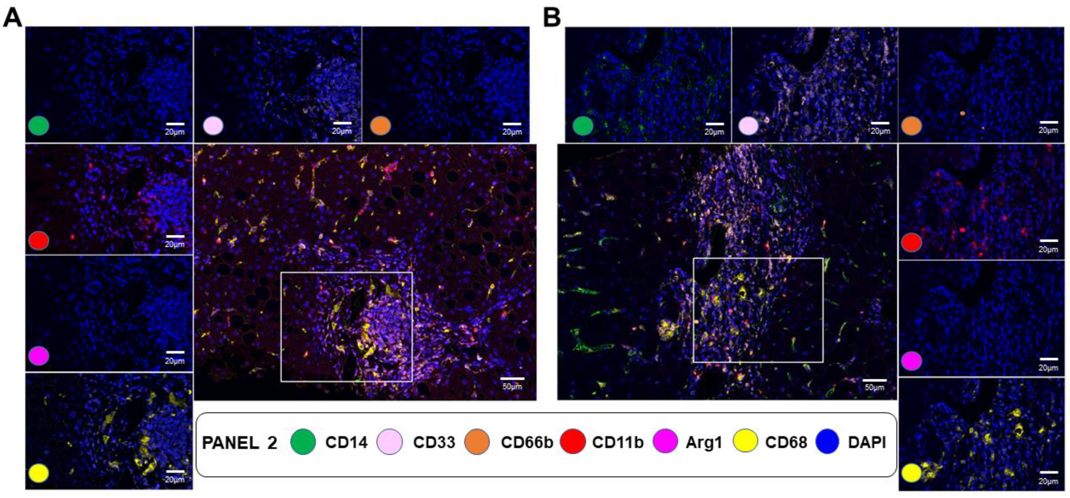 Cancers 15 02871 g006 Cancers 15 02871 g006