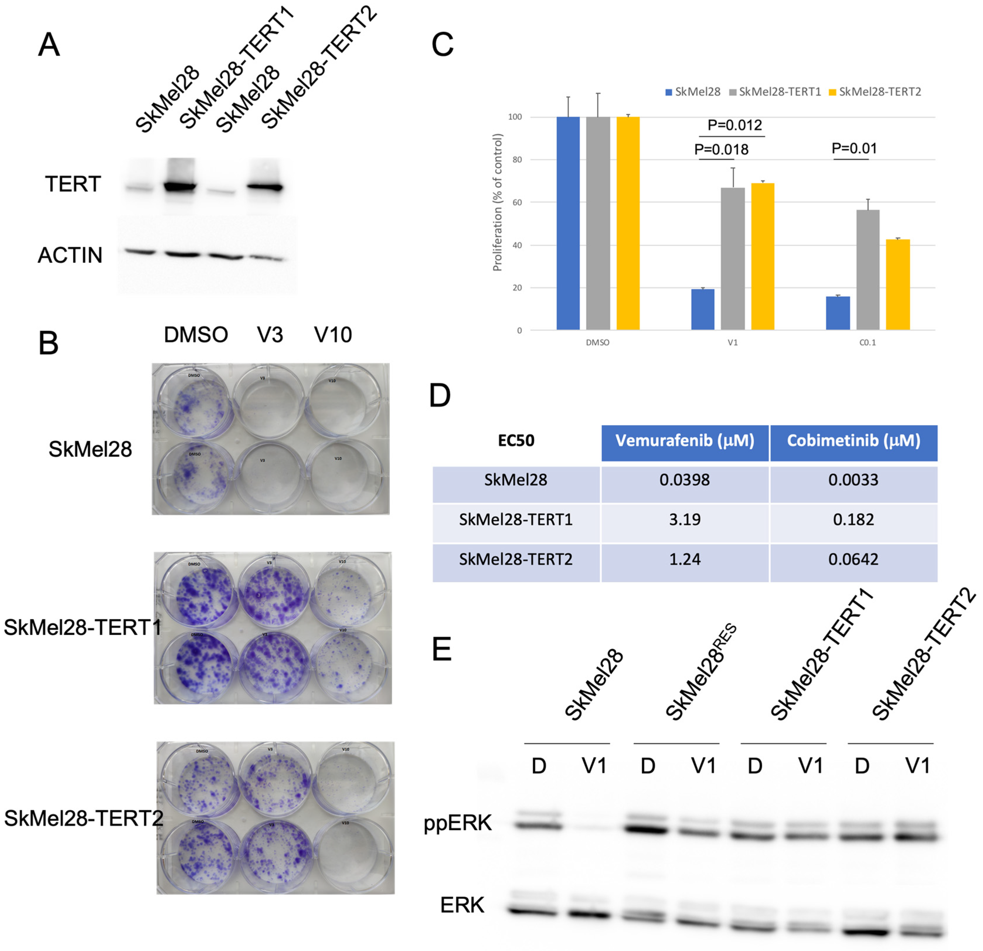 Cancers 15 02888 g003 Cancers 15 02888 g003
