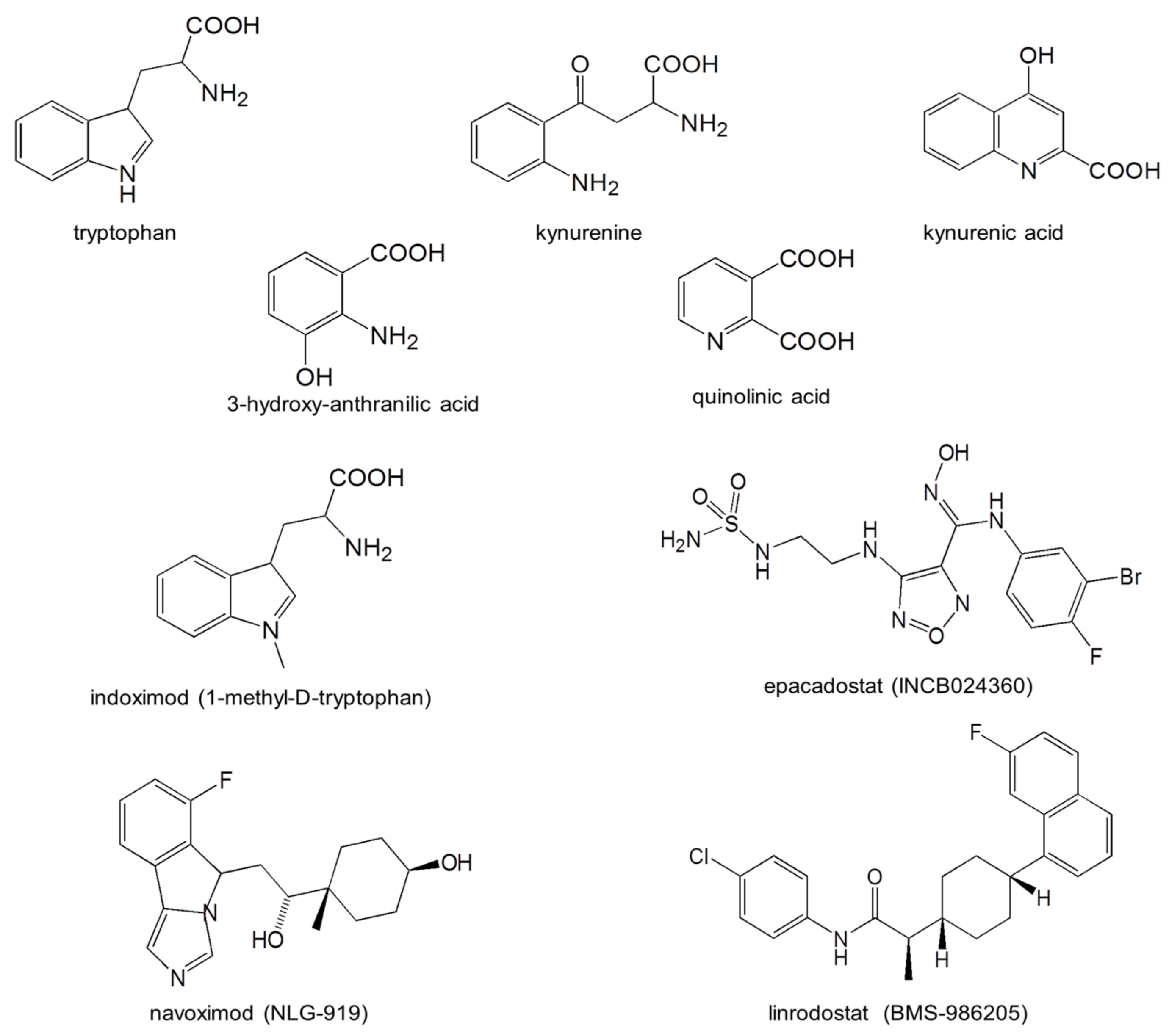 Cancers 15 02895 g003