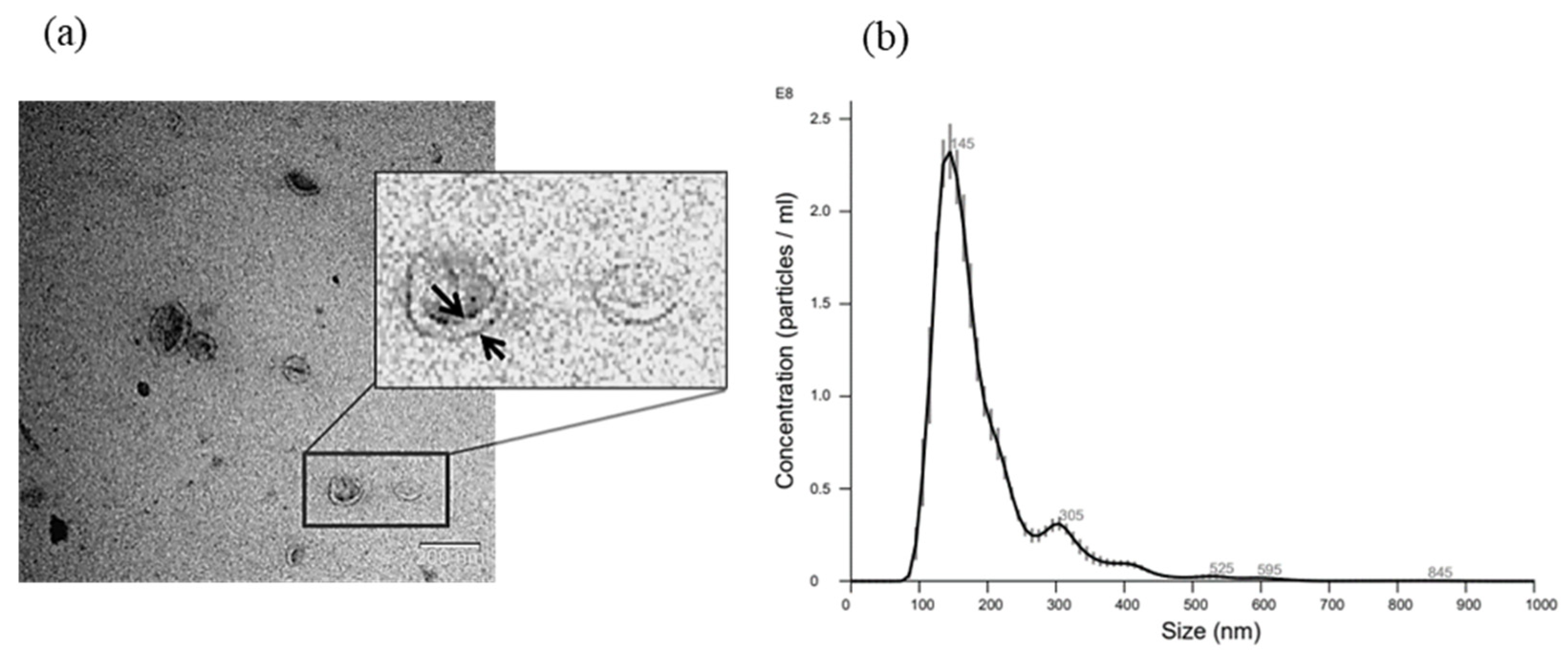 Cancers 15 02901 g003 Cancers 15 02901 g003
