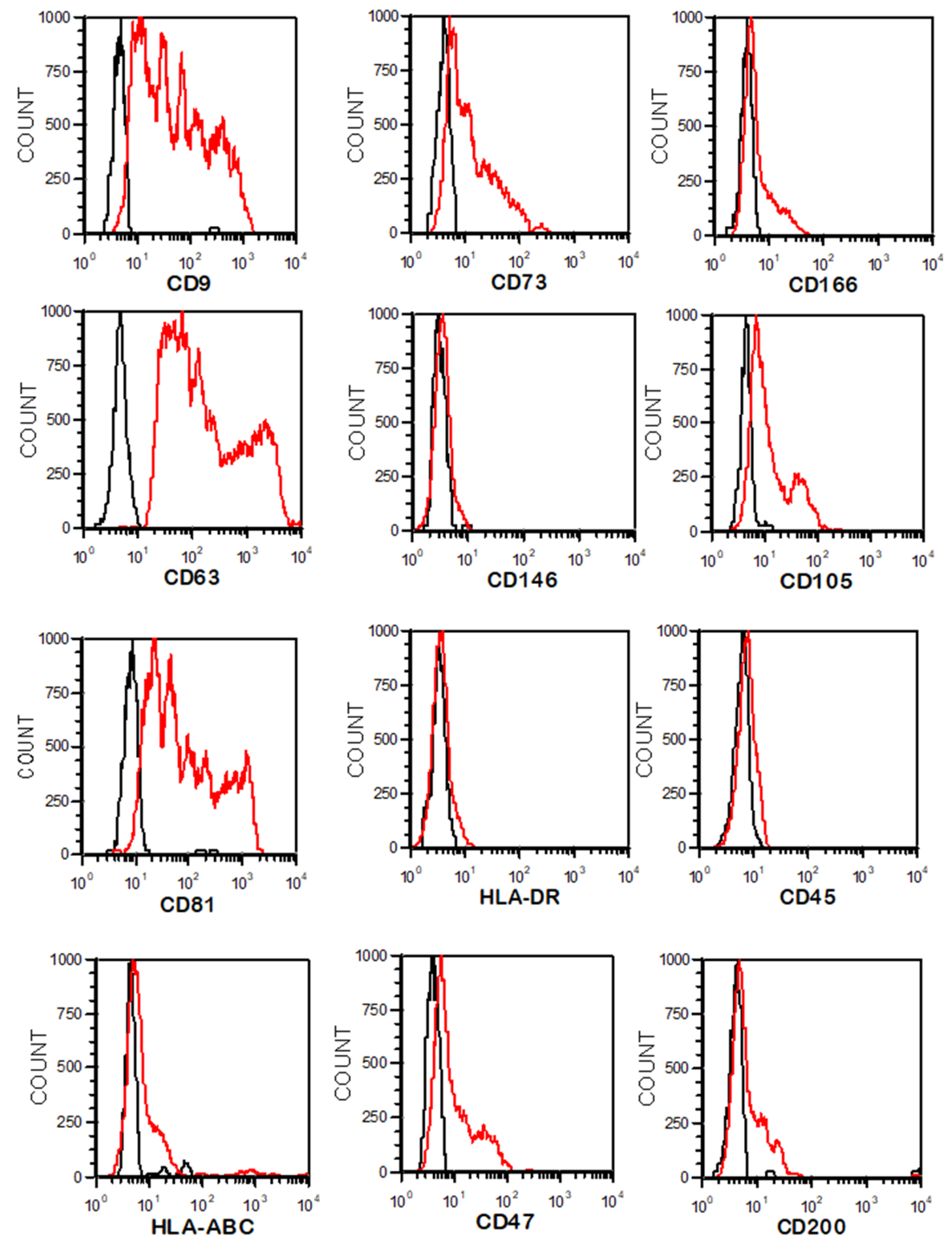 Cancers 15 02901 g004 Cancers 15 02901 g004