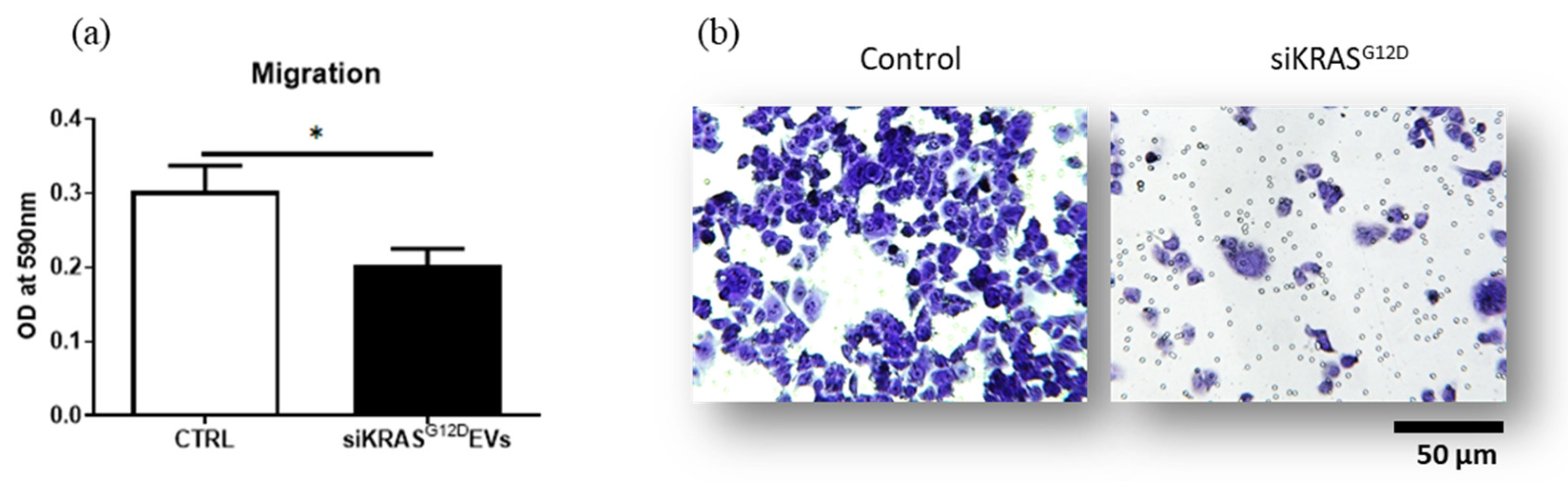 Cancers 15 02901 g009 Cancers 15 02901 g009