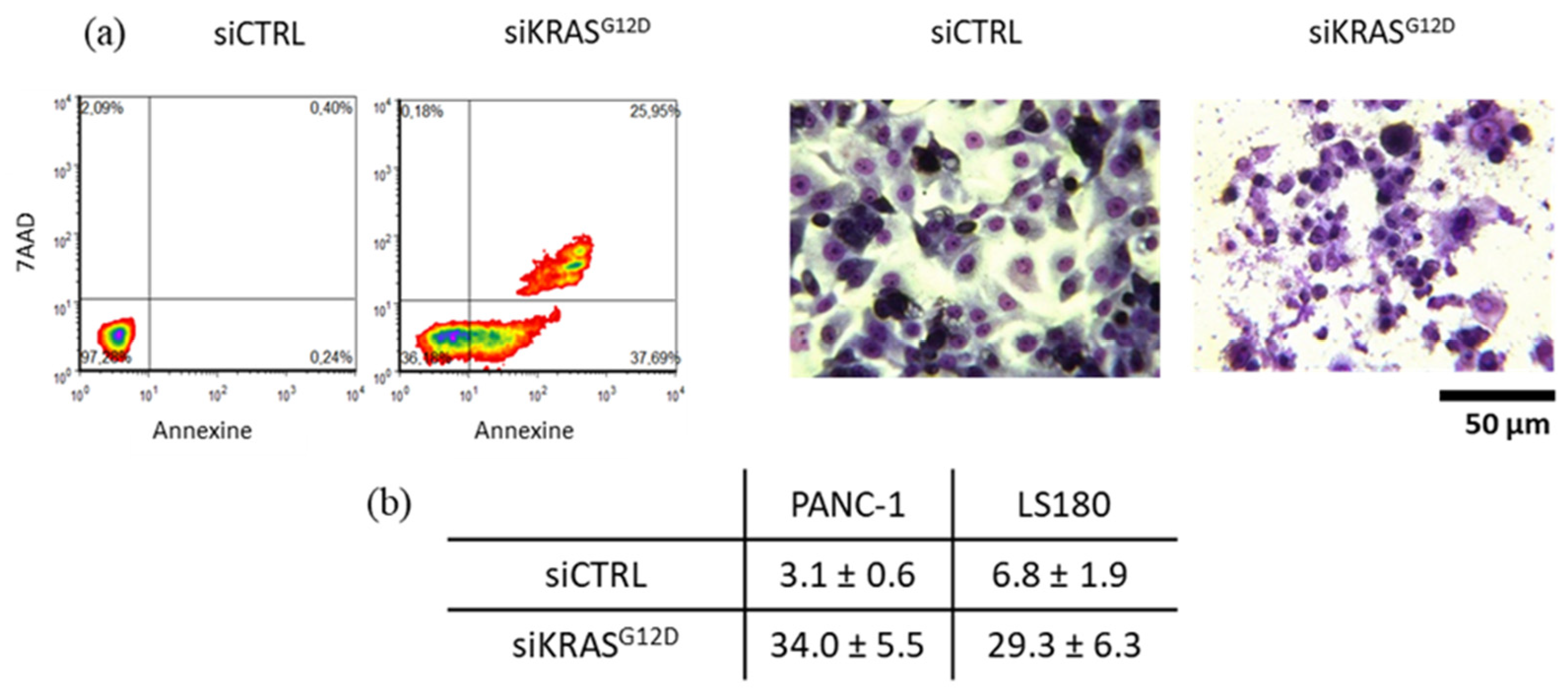 Cancers 15 02901 g011 Cancers 15 02901 g011