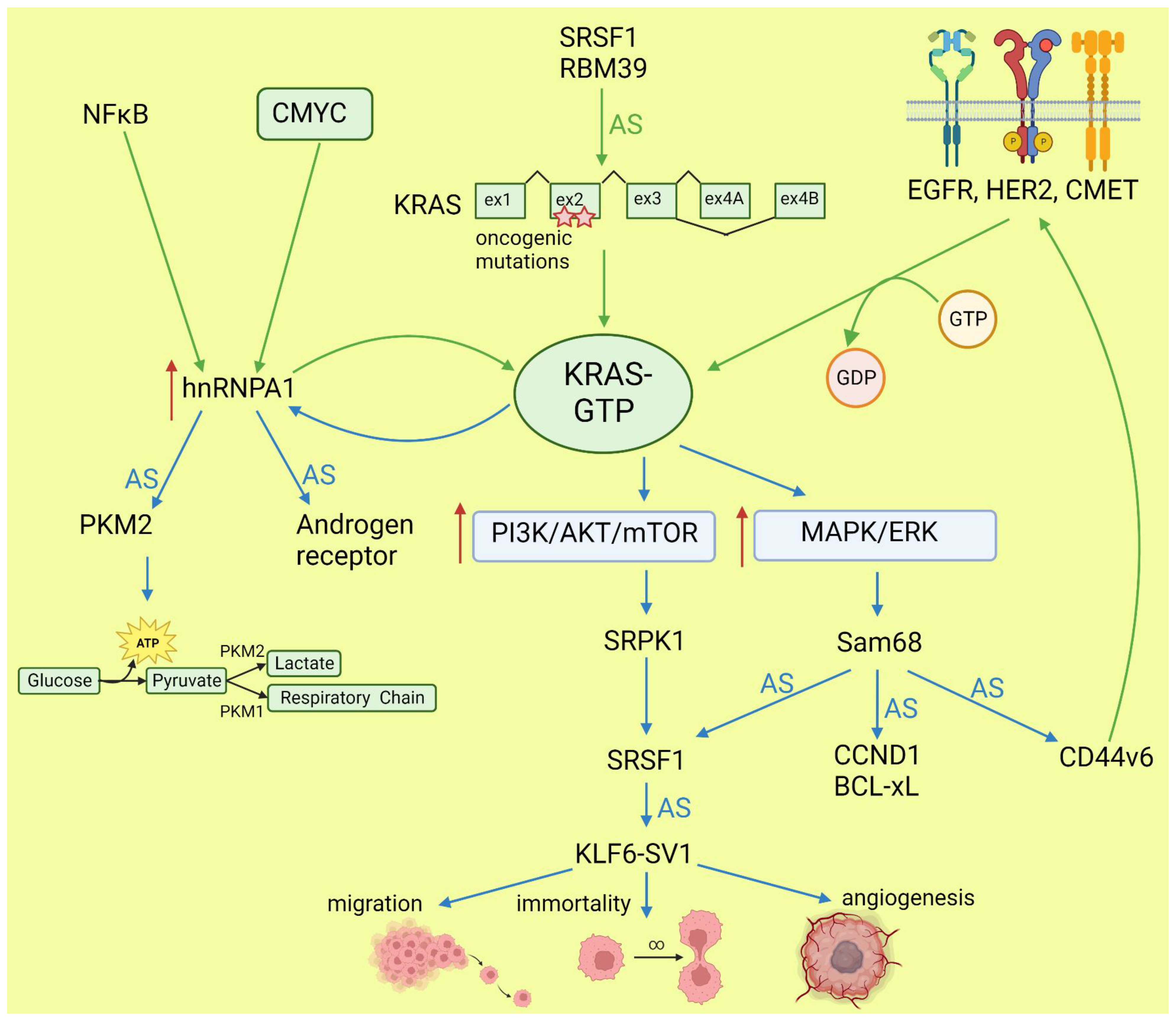 Cancers 15 02918 g002 Cancers 15 02918 g002