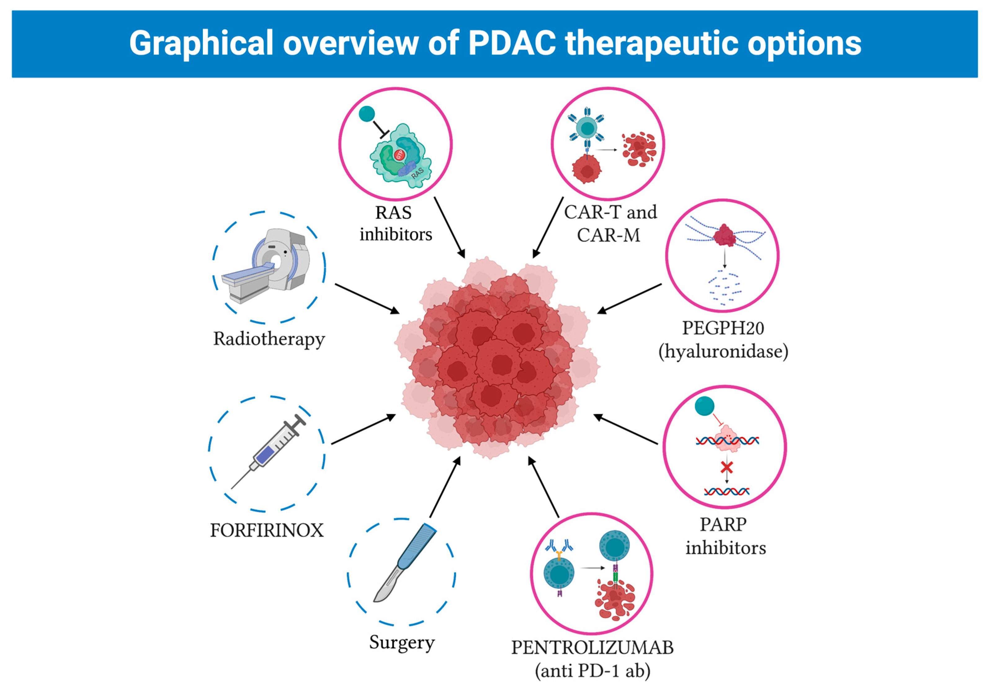 Cancers 15 02923 g004 Cancers 15 02923 g004