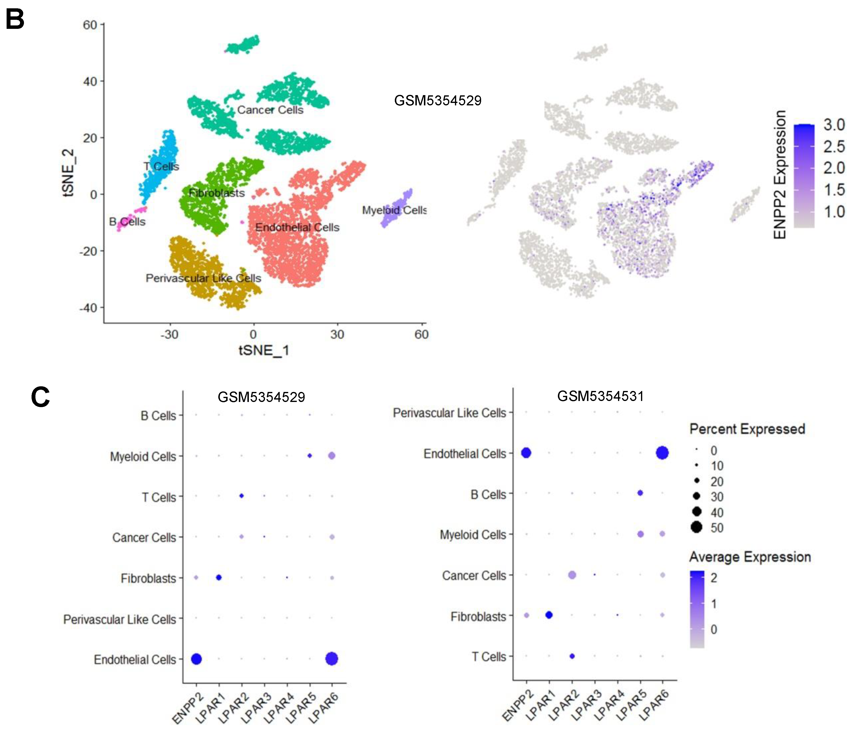 Cancers 15 02937 g003b