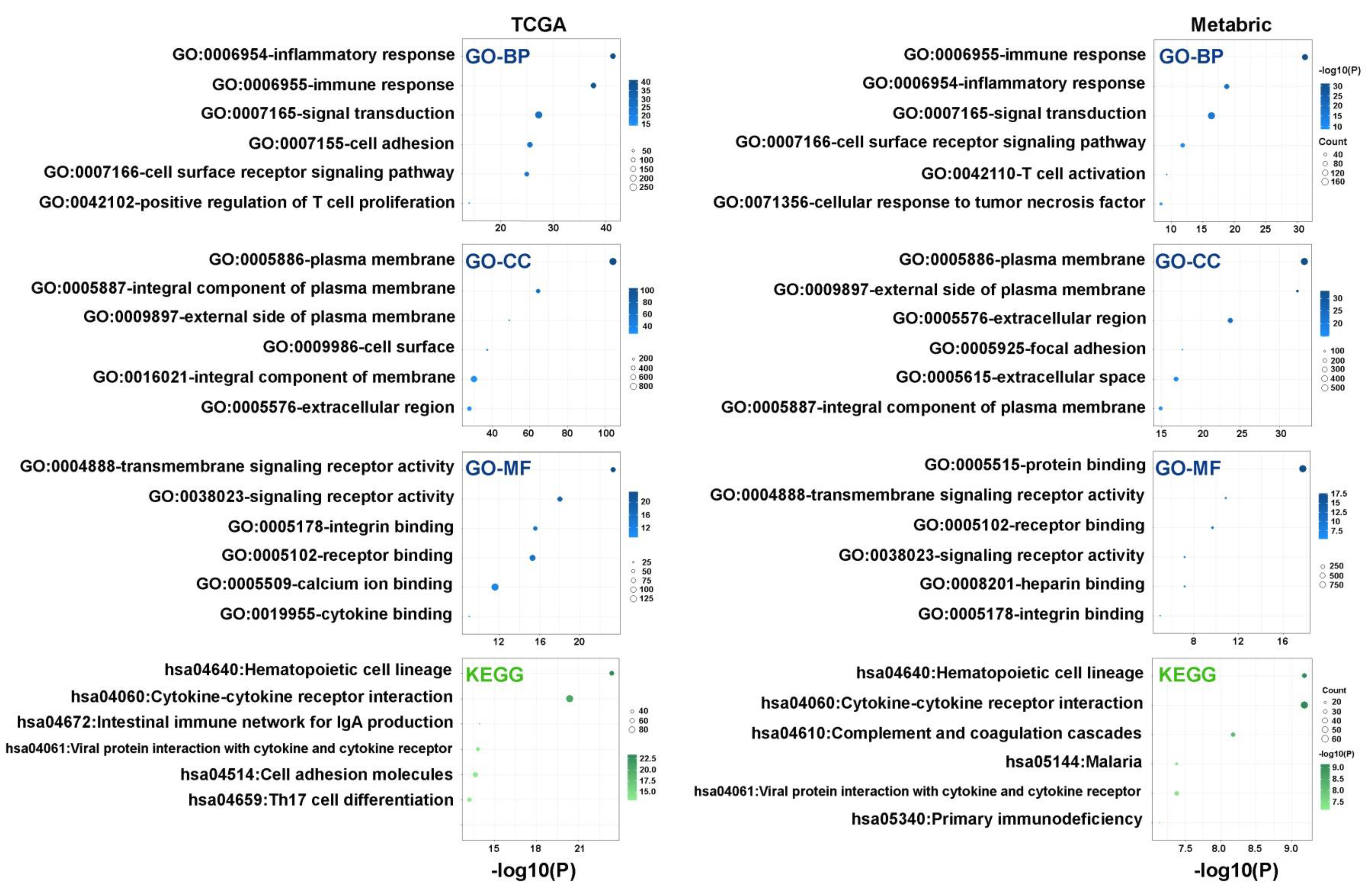 Cancers 15 02937 g004