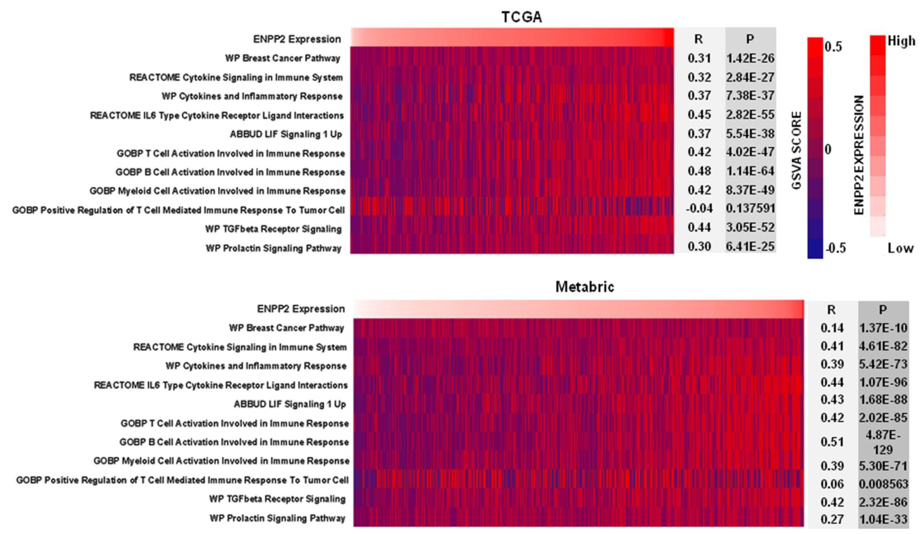 Cancers 15 02937 g005