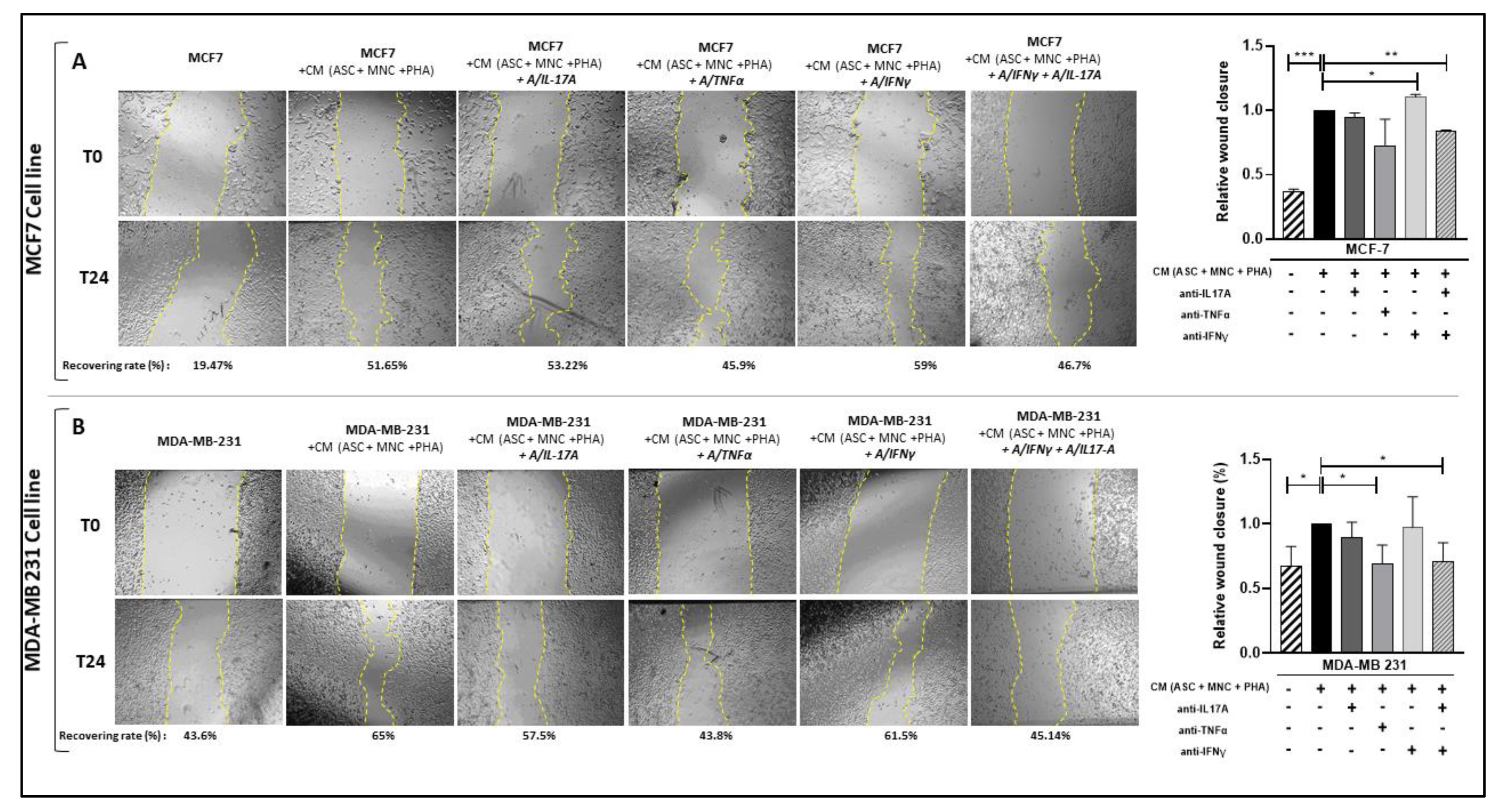 Cancers 15 02963 g007