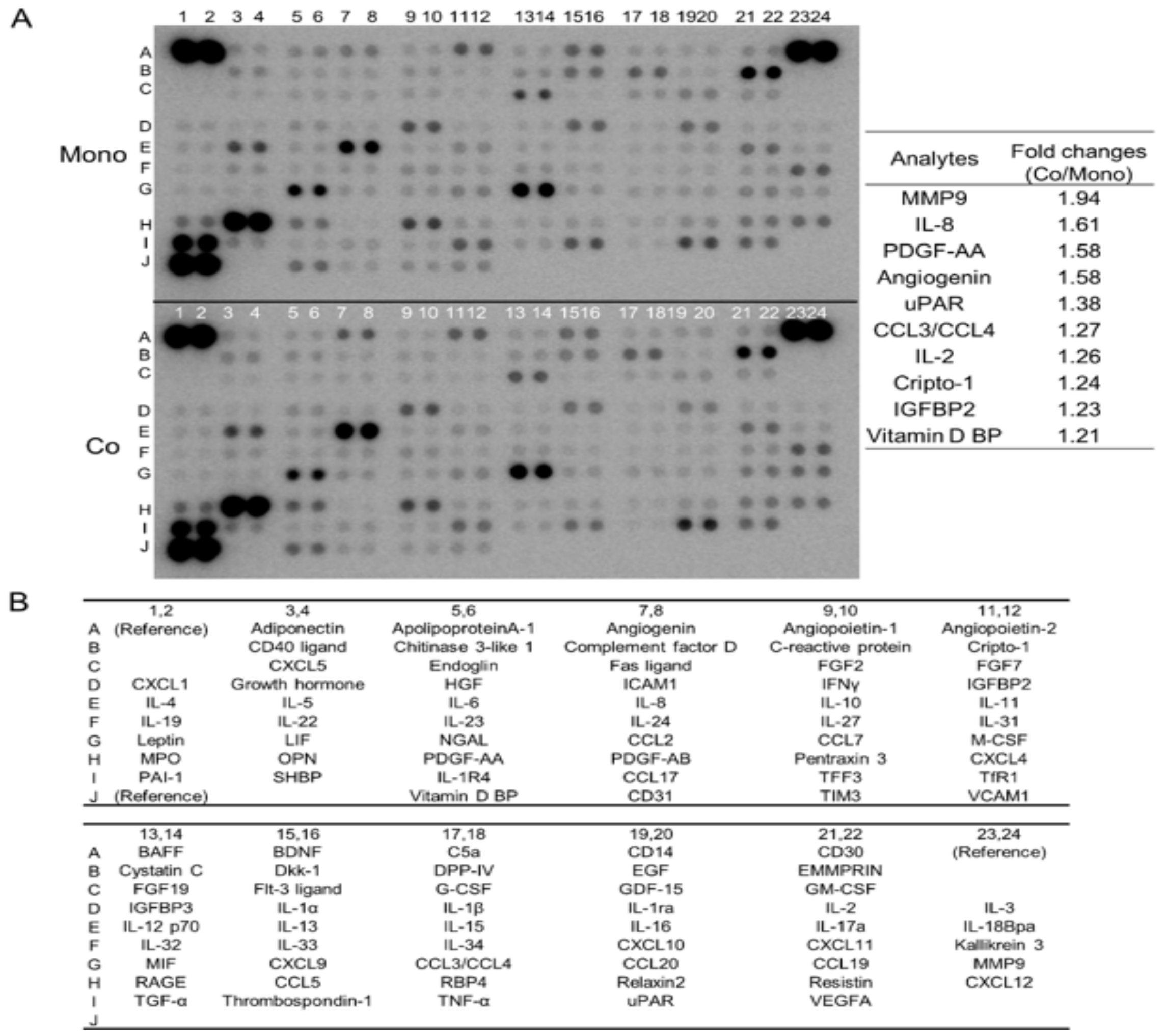 Cancers 15 02987 g001