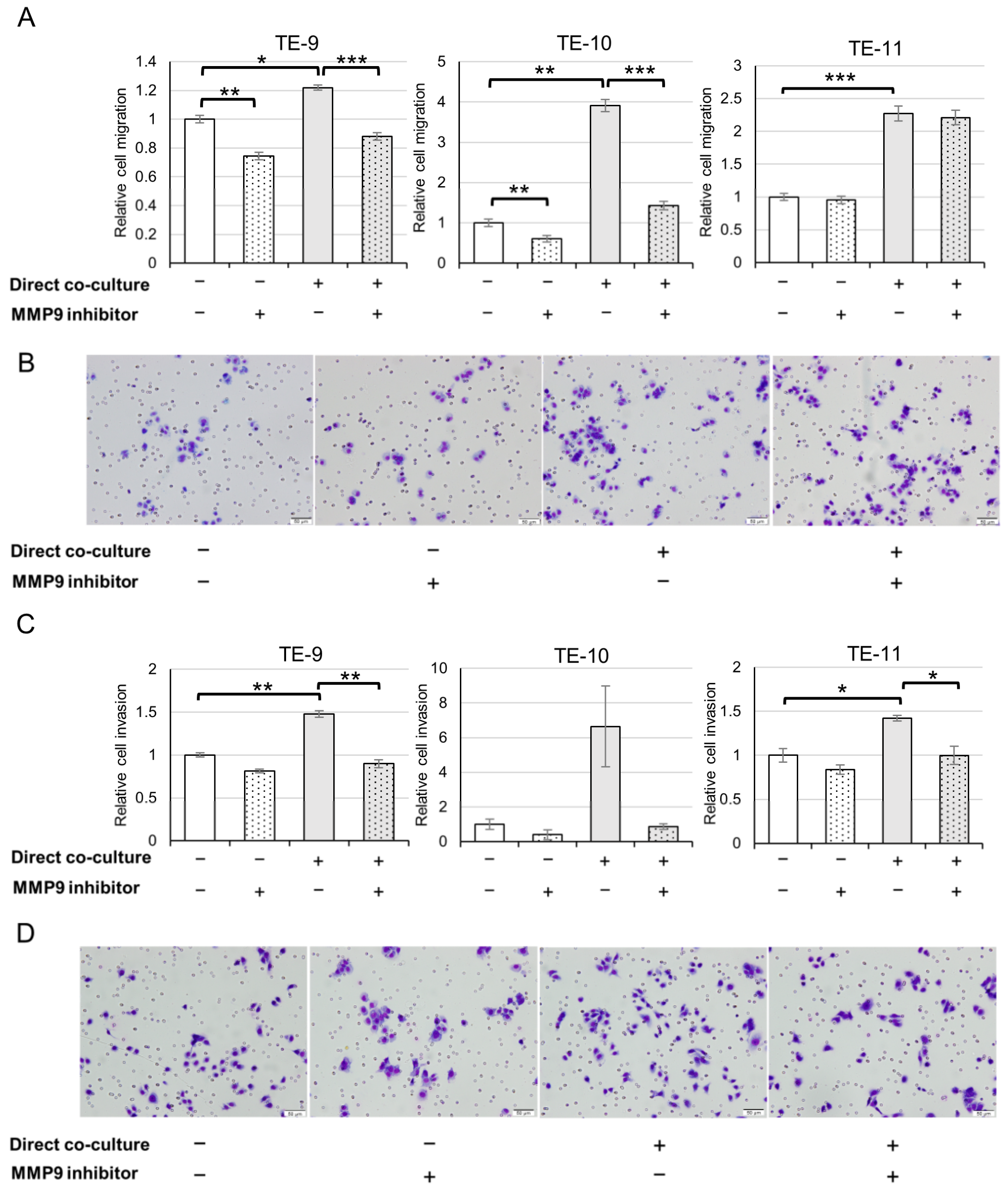 Cancers 15 02987 g004