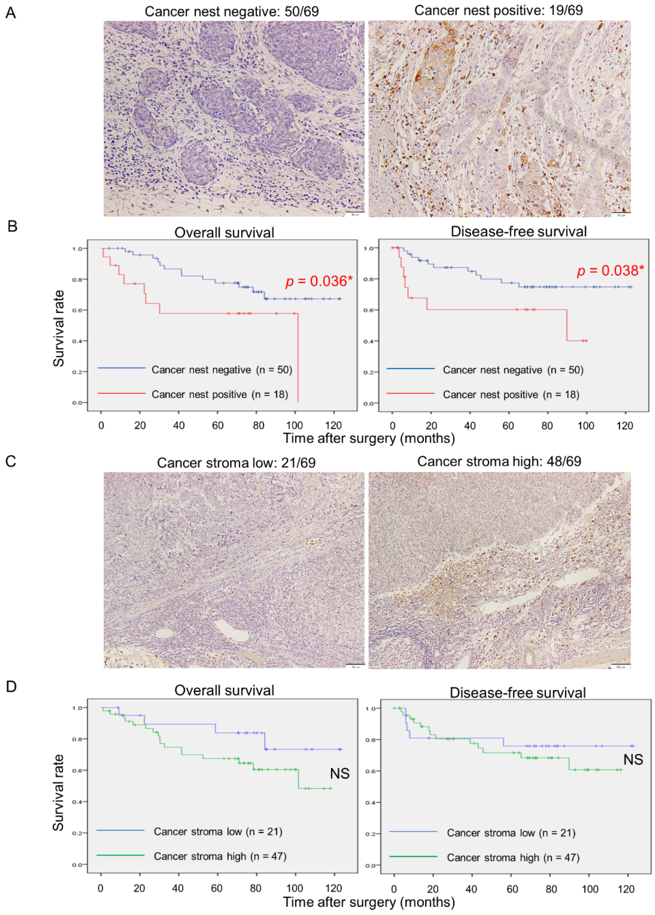 Cancers 15 02987 g005