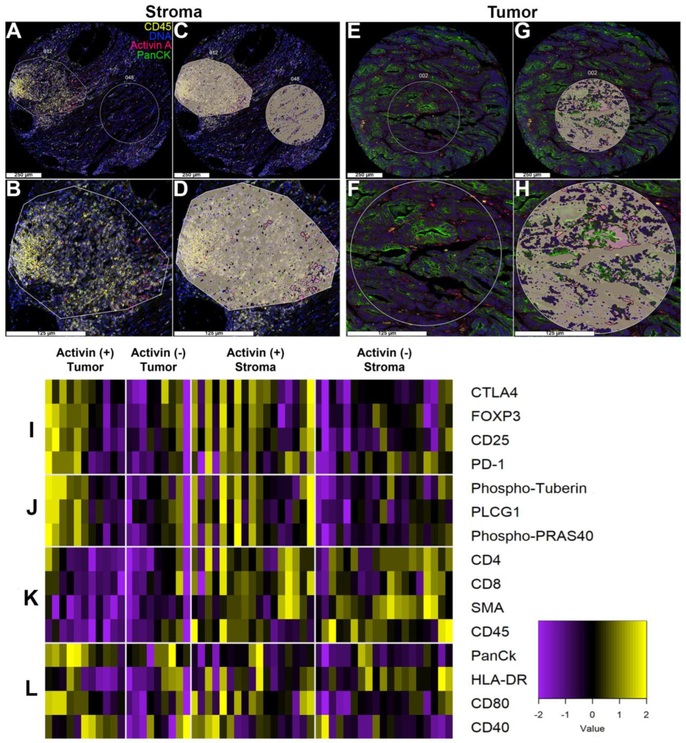 Cancers 15 03003 g003 Cancers 15 03003 g003