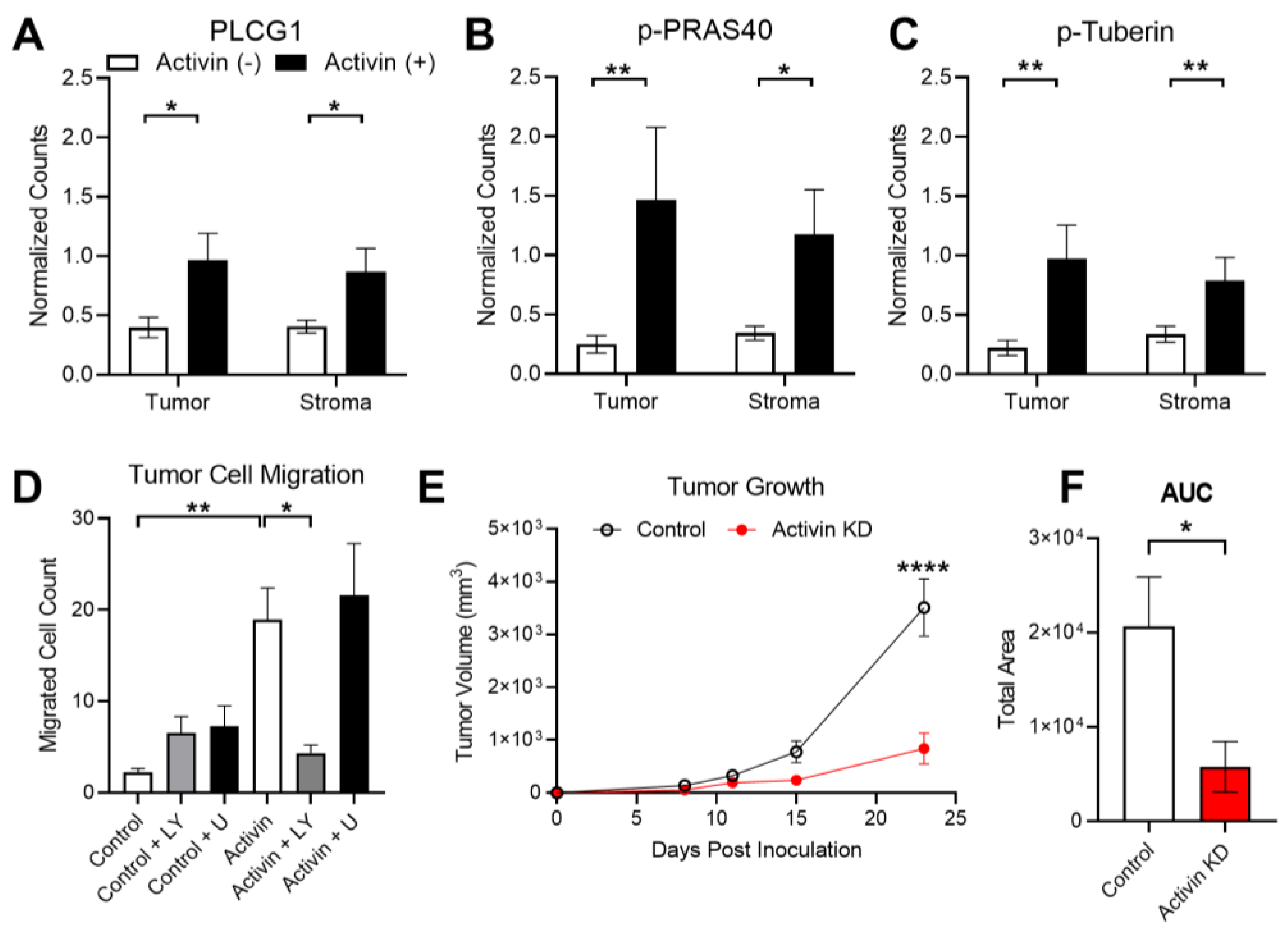 Cancers 15 03003 g006 Cancers 15 03003 g006