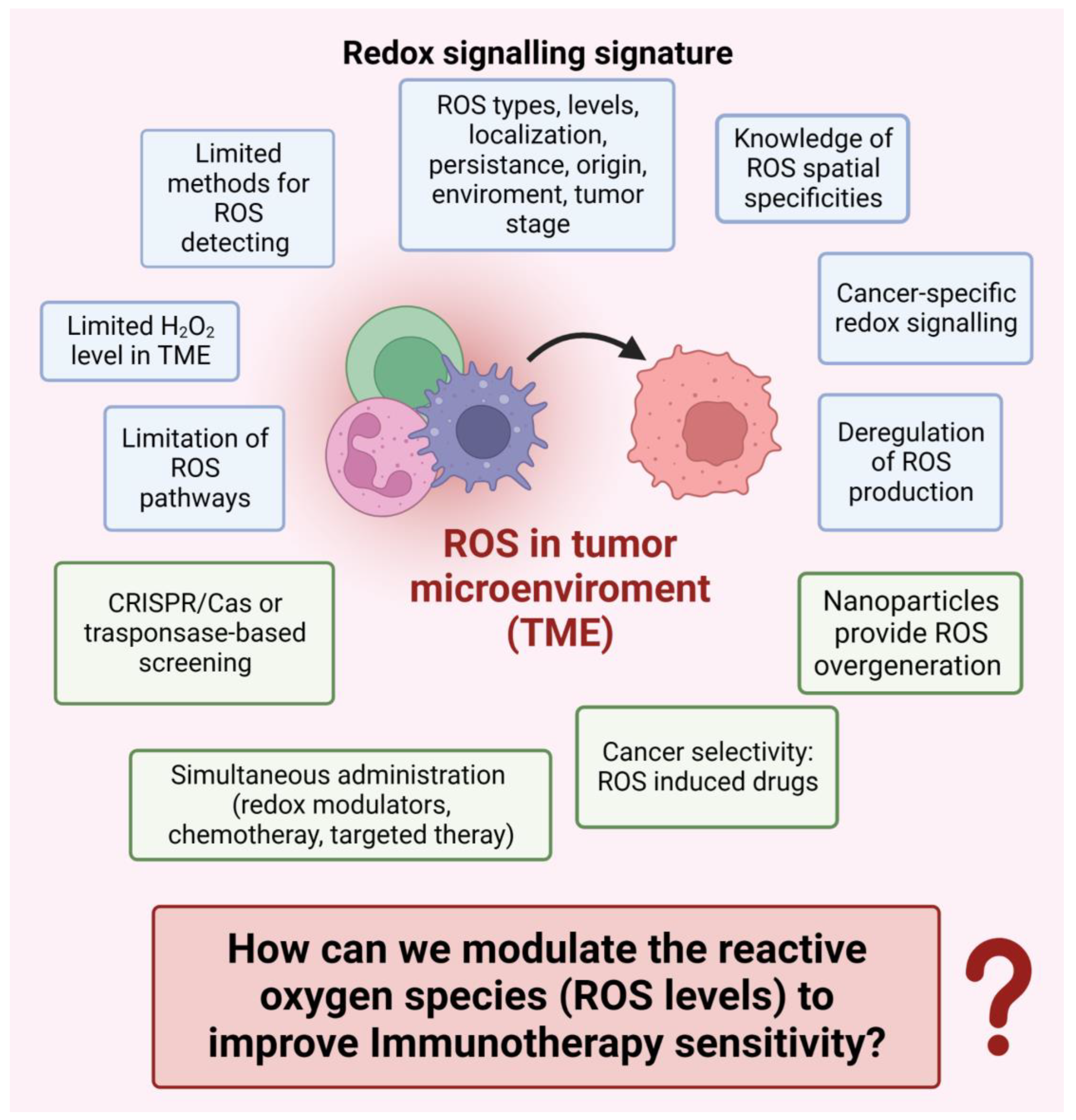 Cancers 15 03009 g004