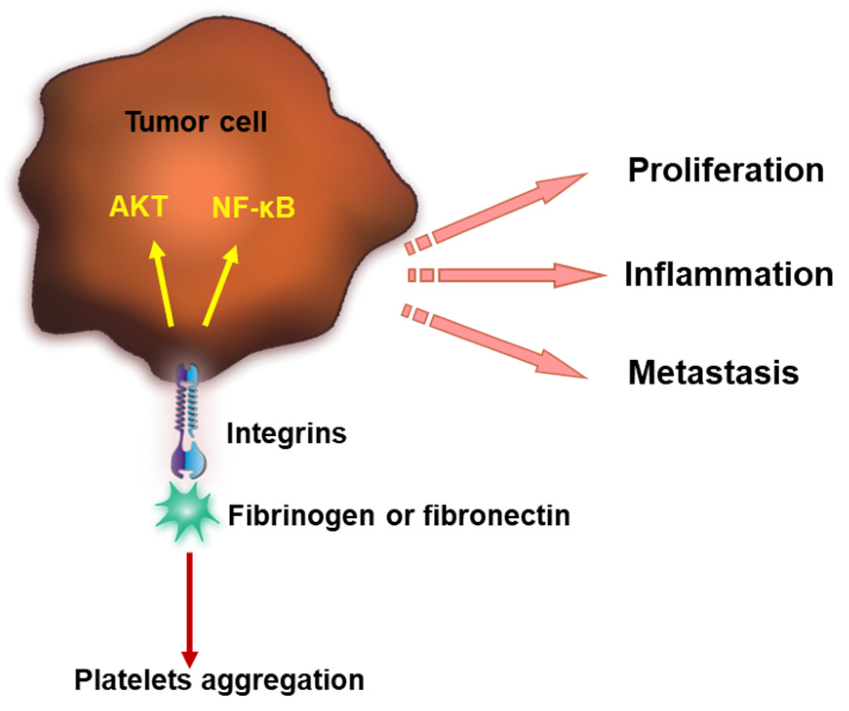 Cancers 15 03025 g002 Cancers 15 03025 g002
