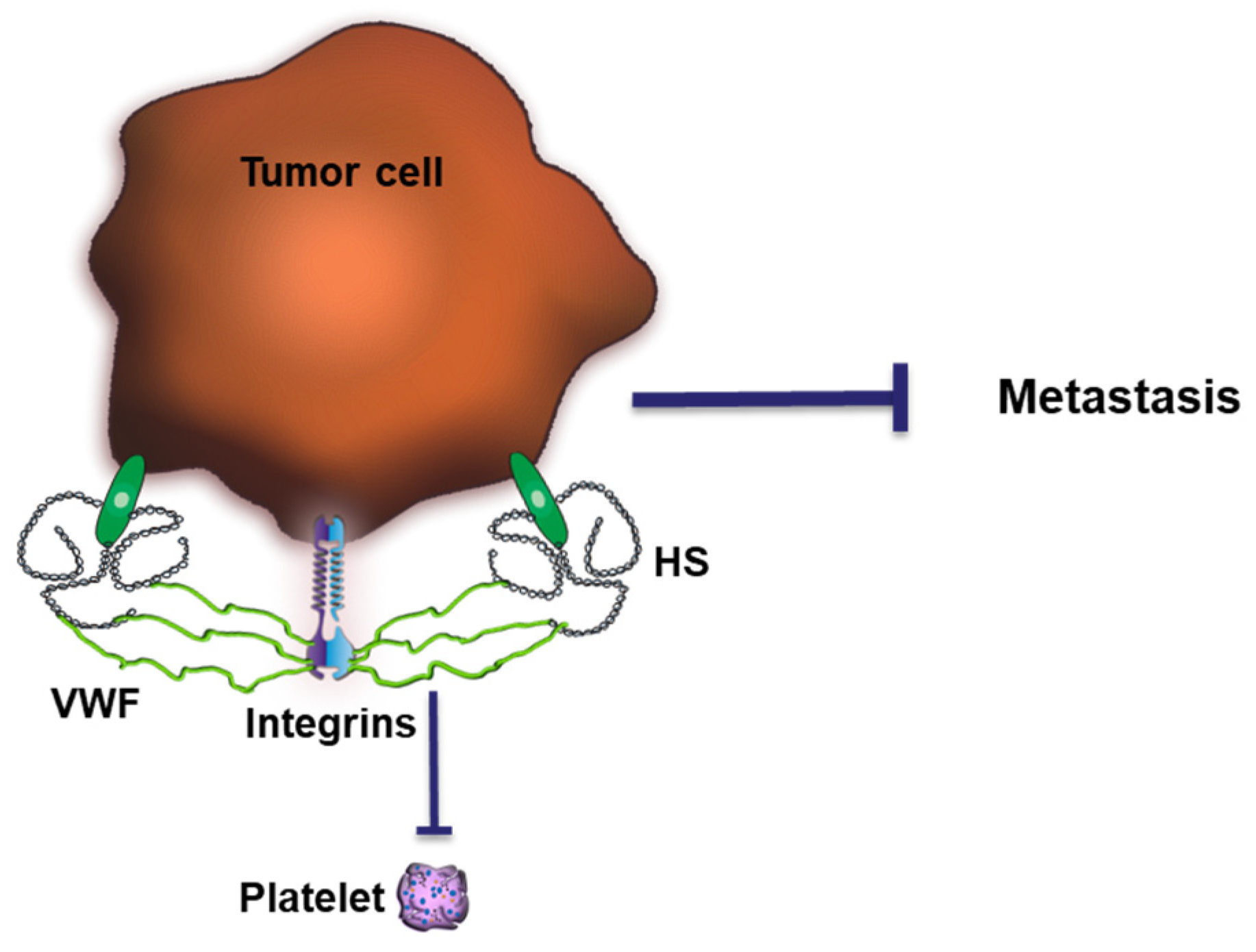 Cancers 15 03025 g005 Cancers 15 03025 g005