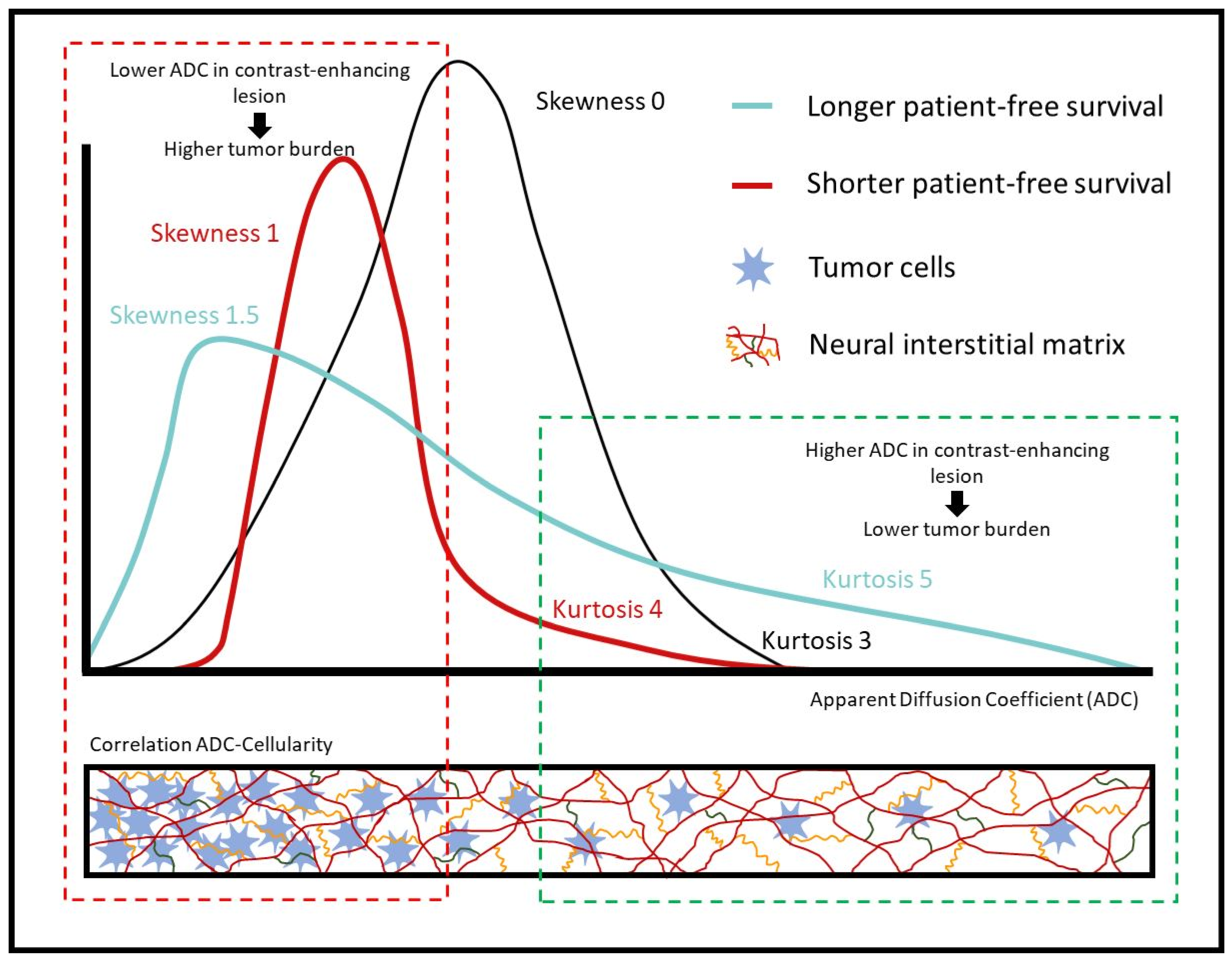 Cancers 15 03026 g004 Cancers 15 03026 g004