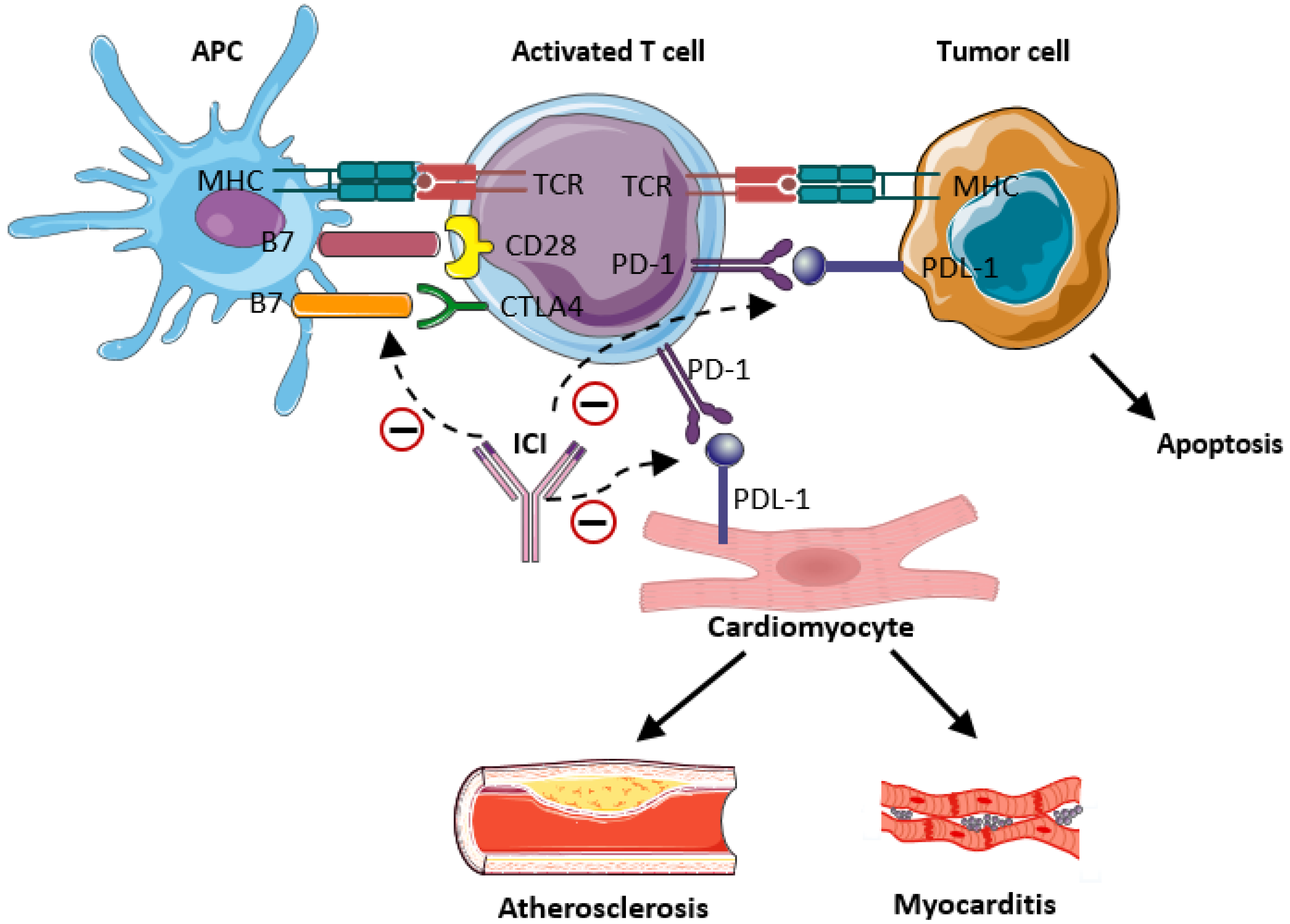 Cancers 15 03055 g002 Cancers 15 03055 g002