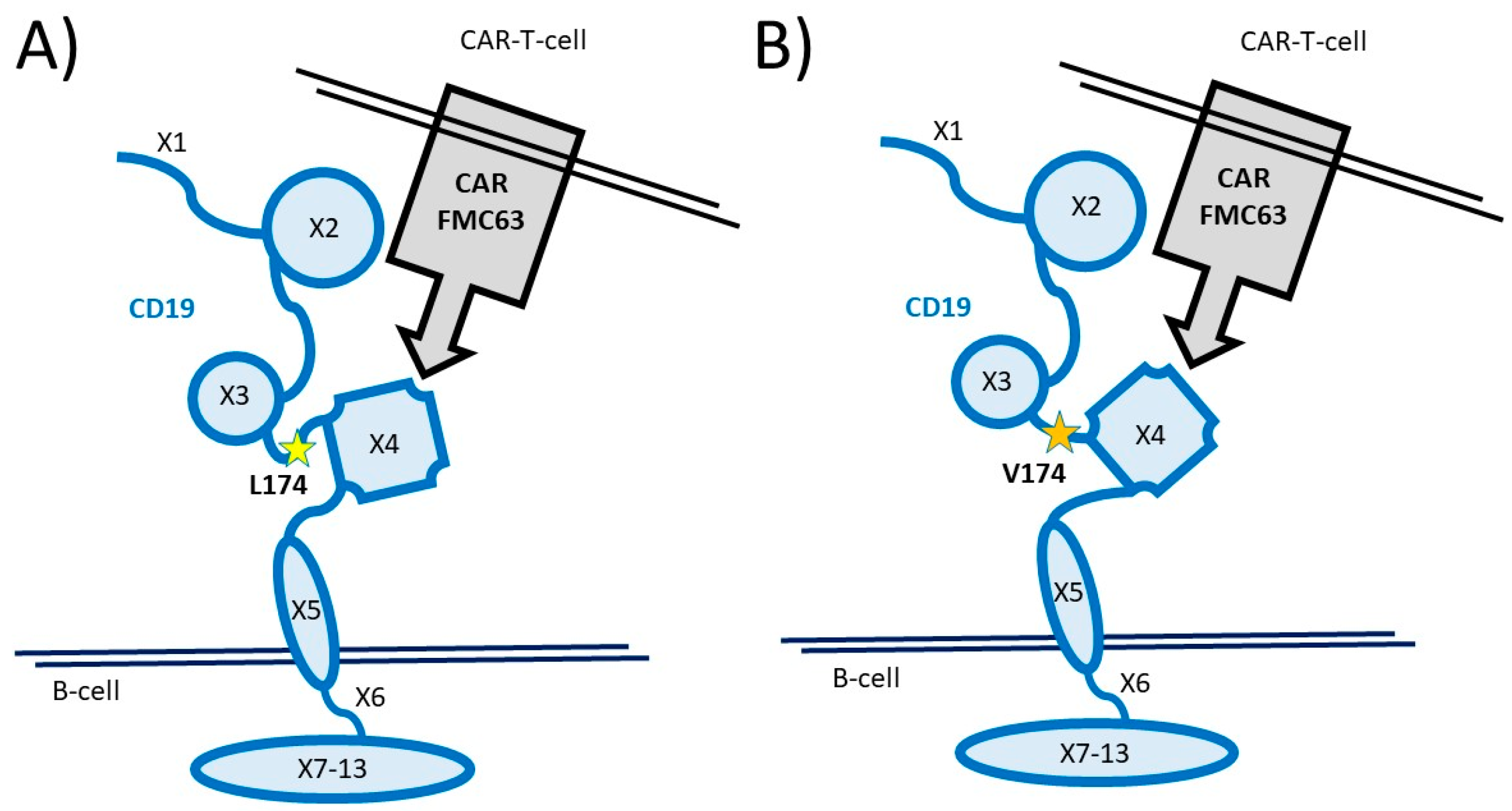 Cancers 15 03058 g003 Cancers 15 03058 g003
