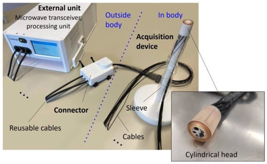 Cancers | Free Full-Text | Preclinical Evaluation of a Microwave