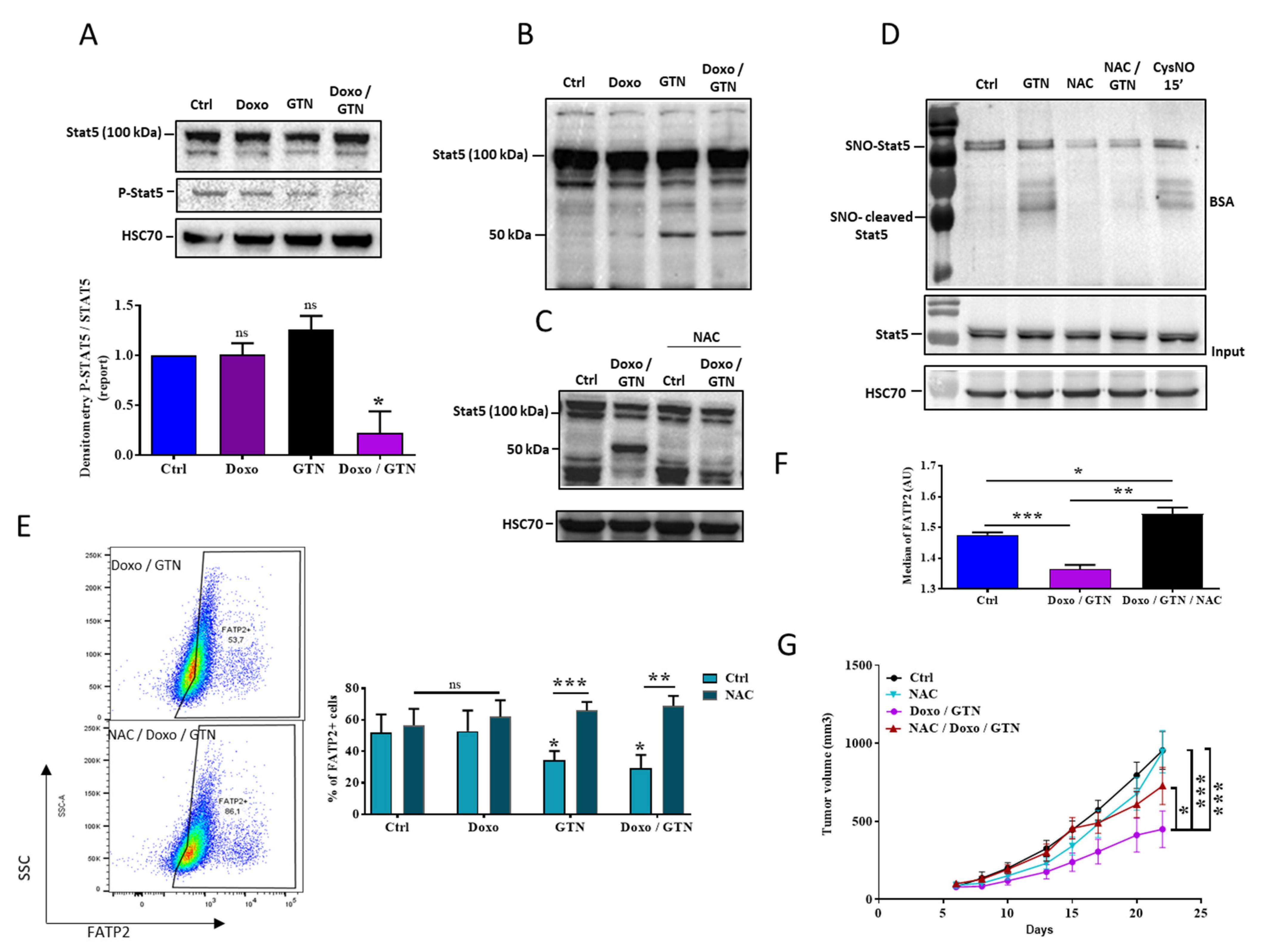 Cancers 15 03129 g005