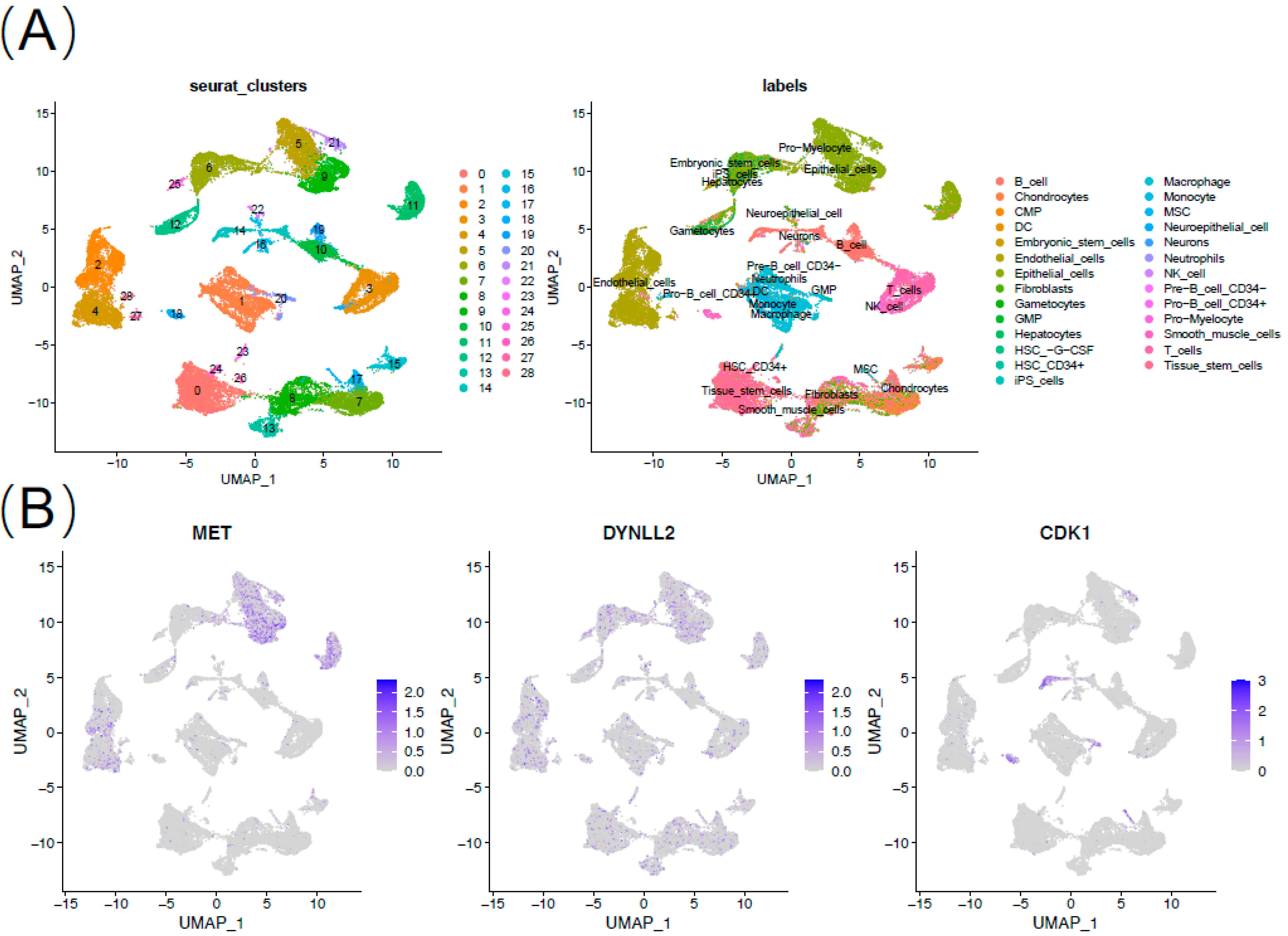 Cancers | Free Full-Text | Anoikis-Related Gene Signature For ...