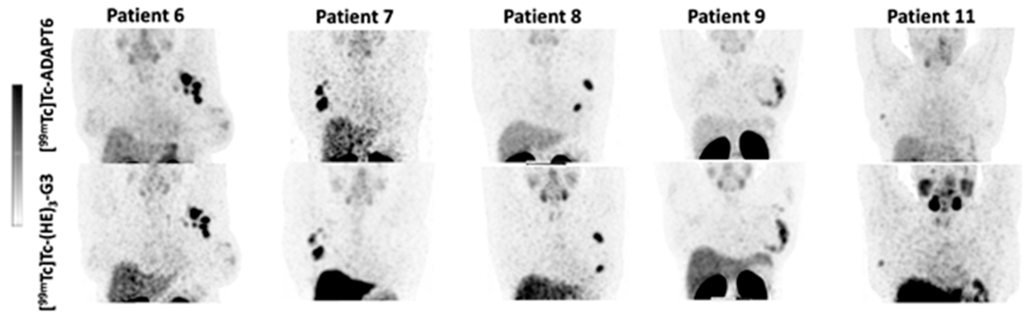 Cancers 15 03149 g003