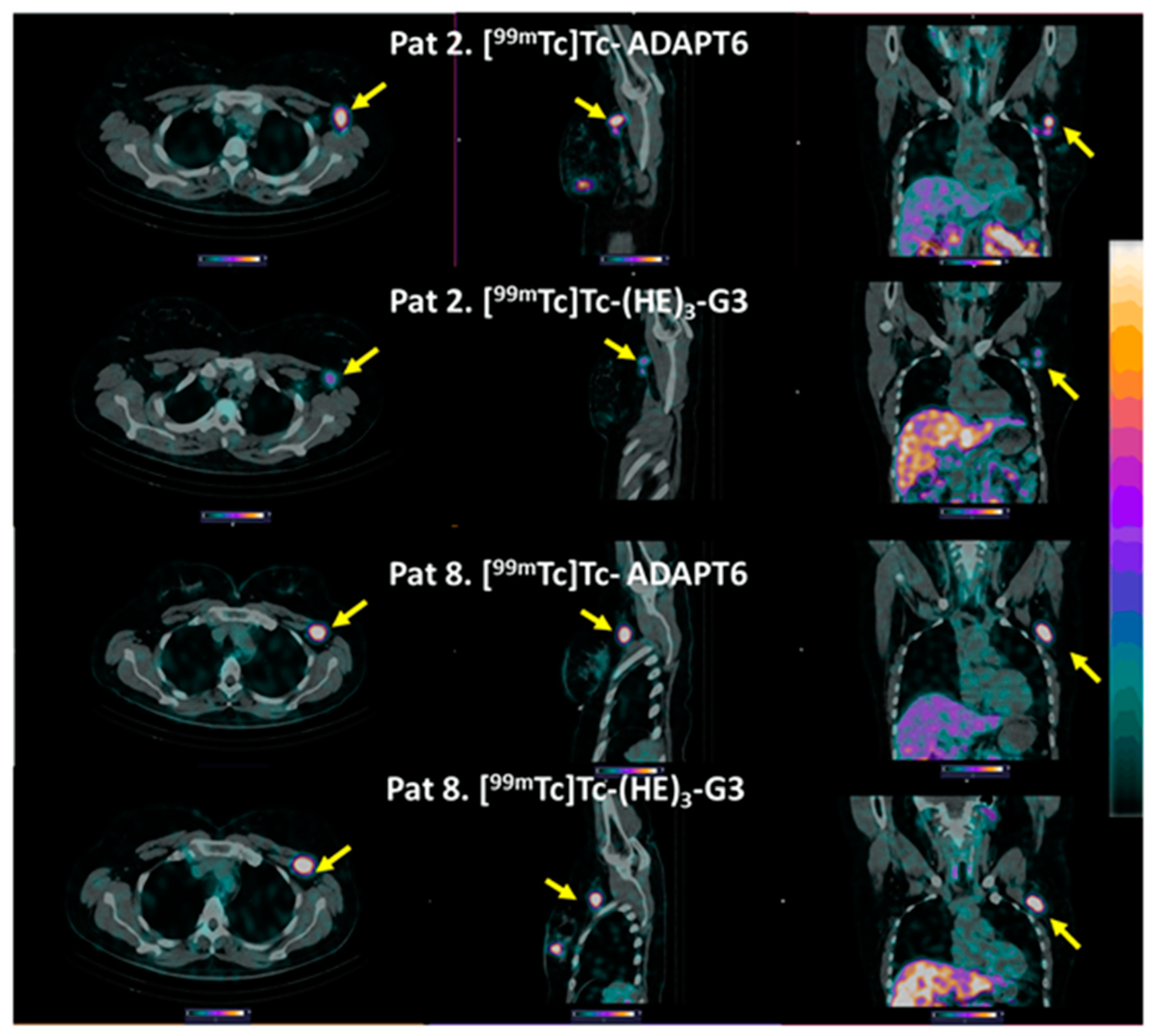 Cancers 15 03149 g007