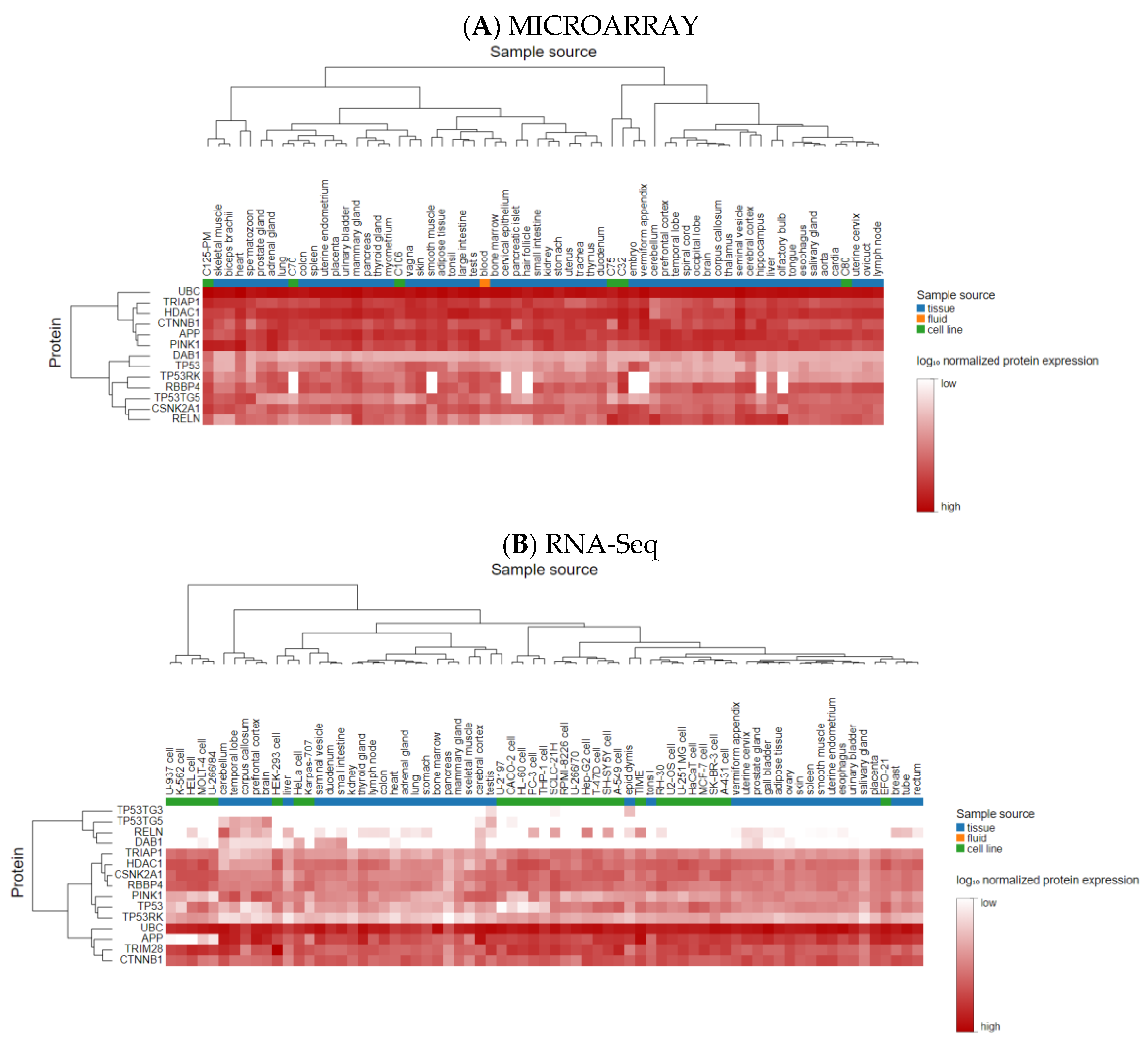 Cancers 15 03158 g006