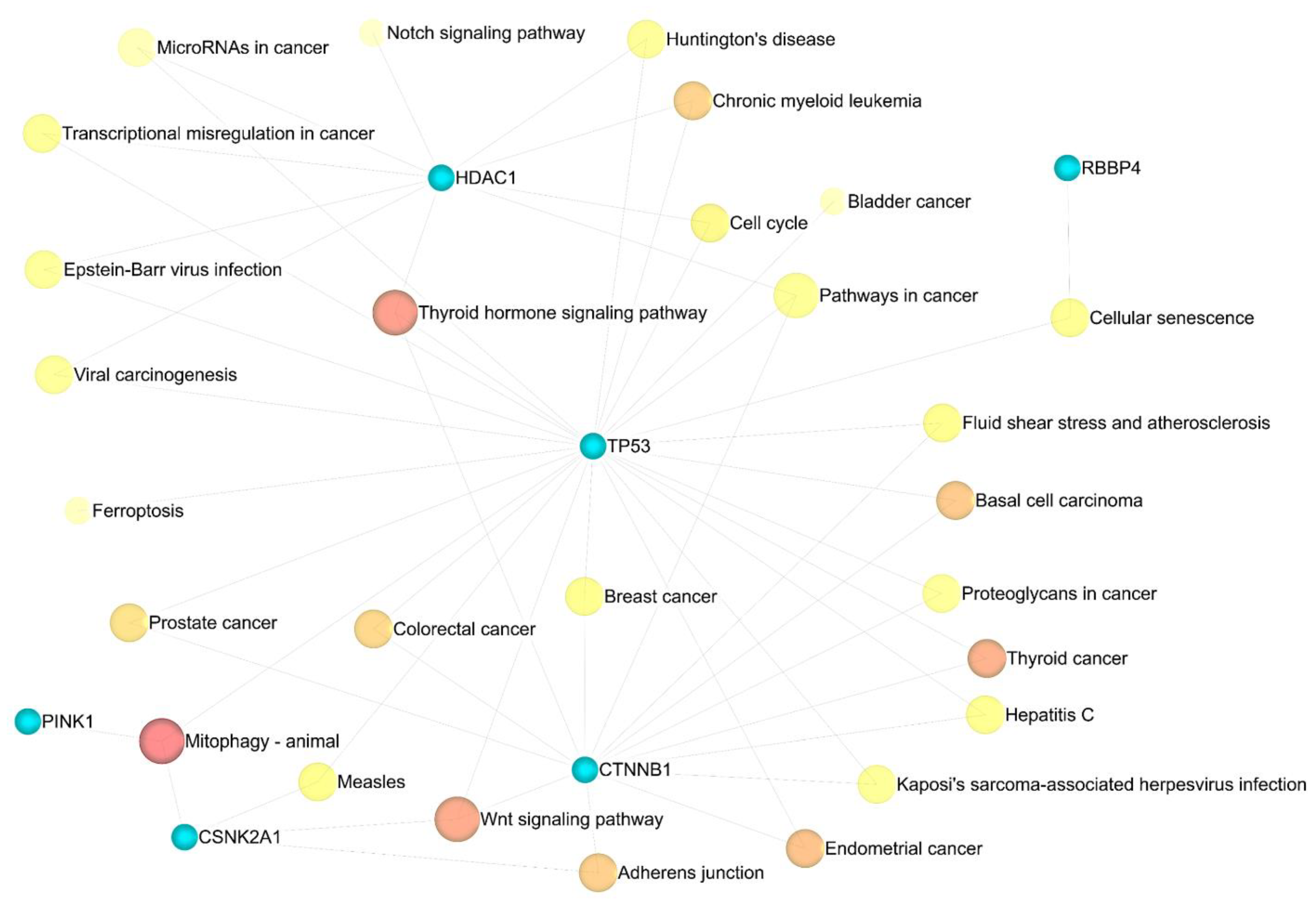 Cancers 15 03158 g010