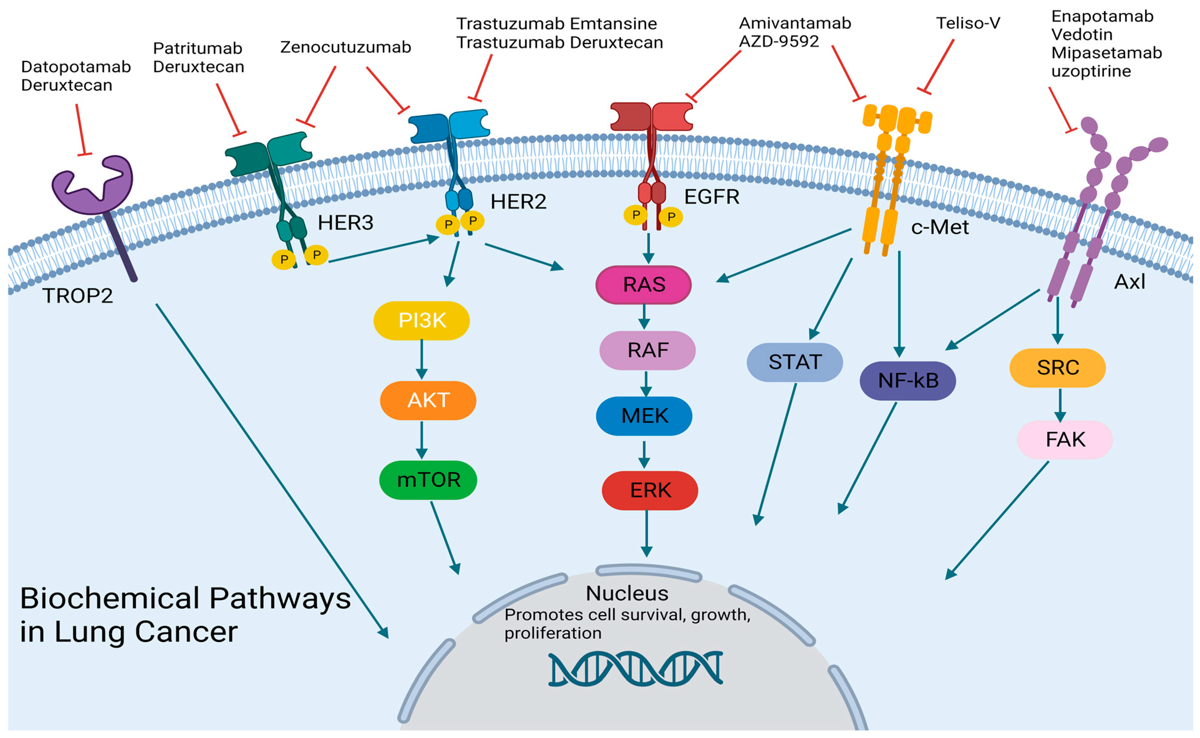Cancers 15 03162 g001 Cancers 15 03162 g001
