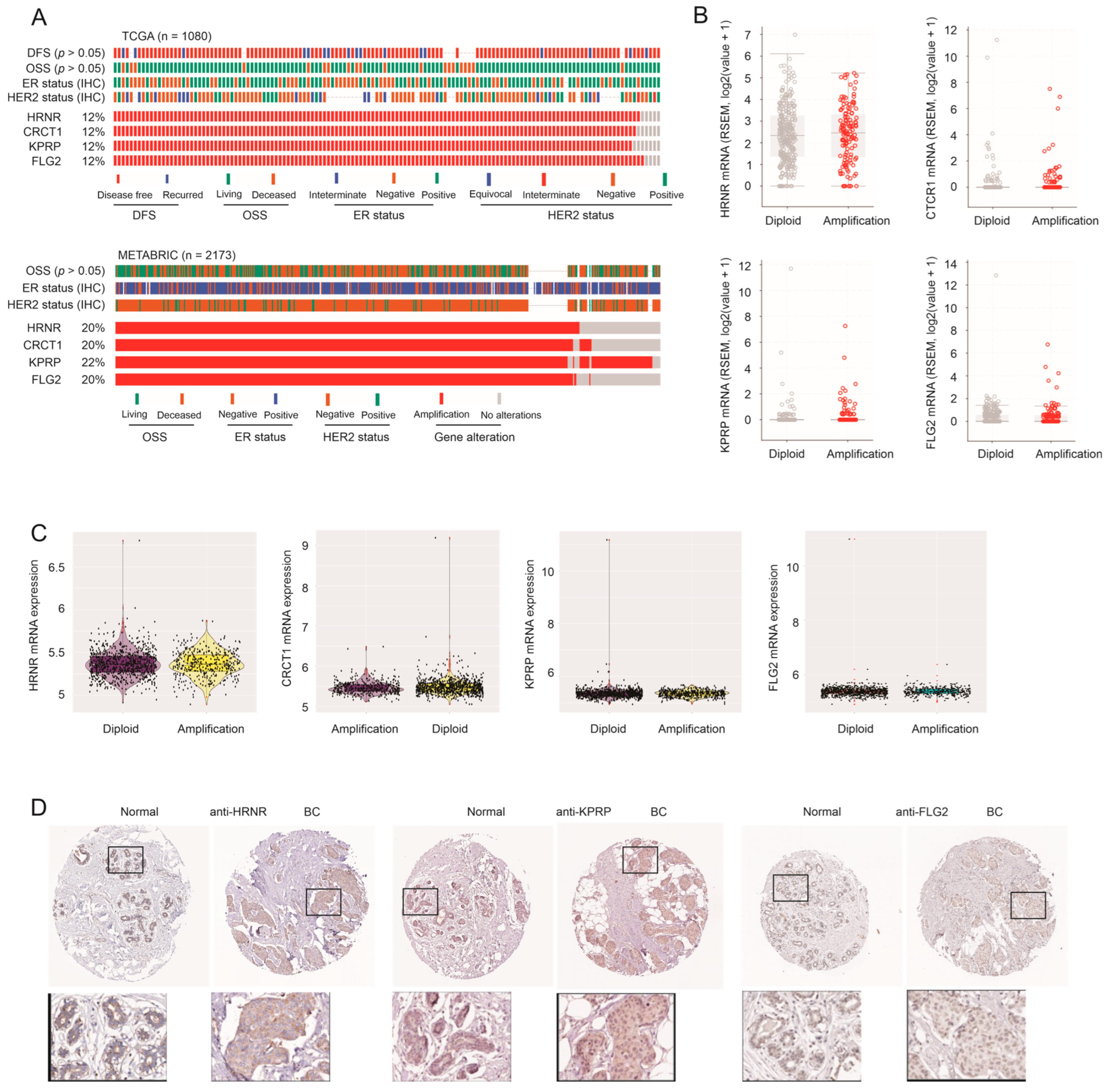 Cancers 15 03203 g002 Cancers 15 03203 g002