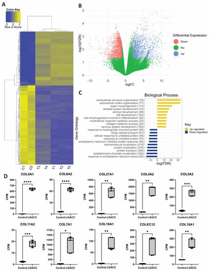 Transcriptomic signatures across human tissues identify functional rare  genetic variation