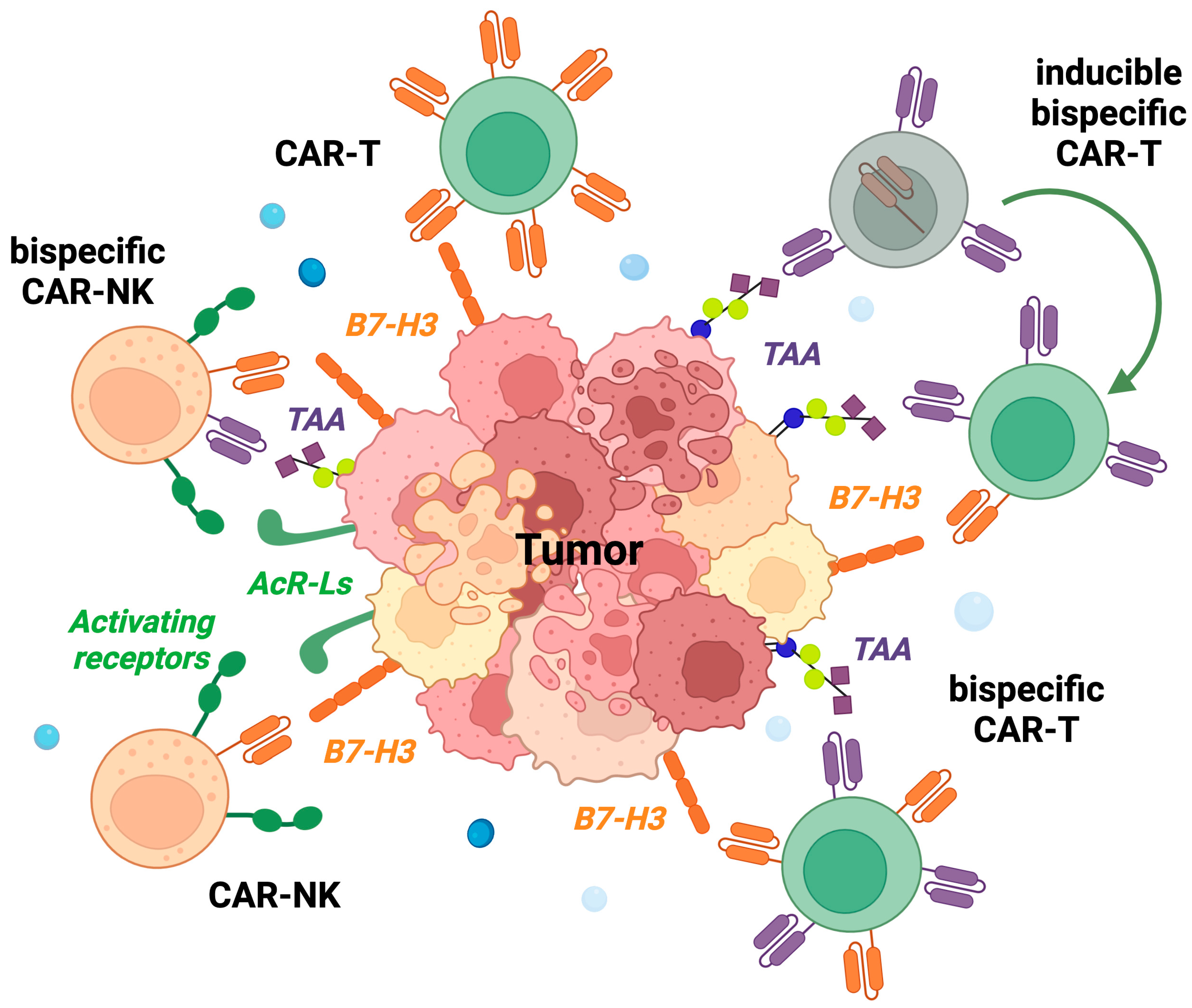 Cancers 15 03279 g002