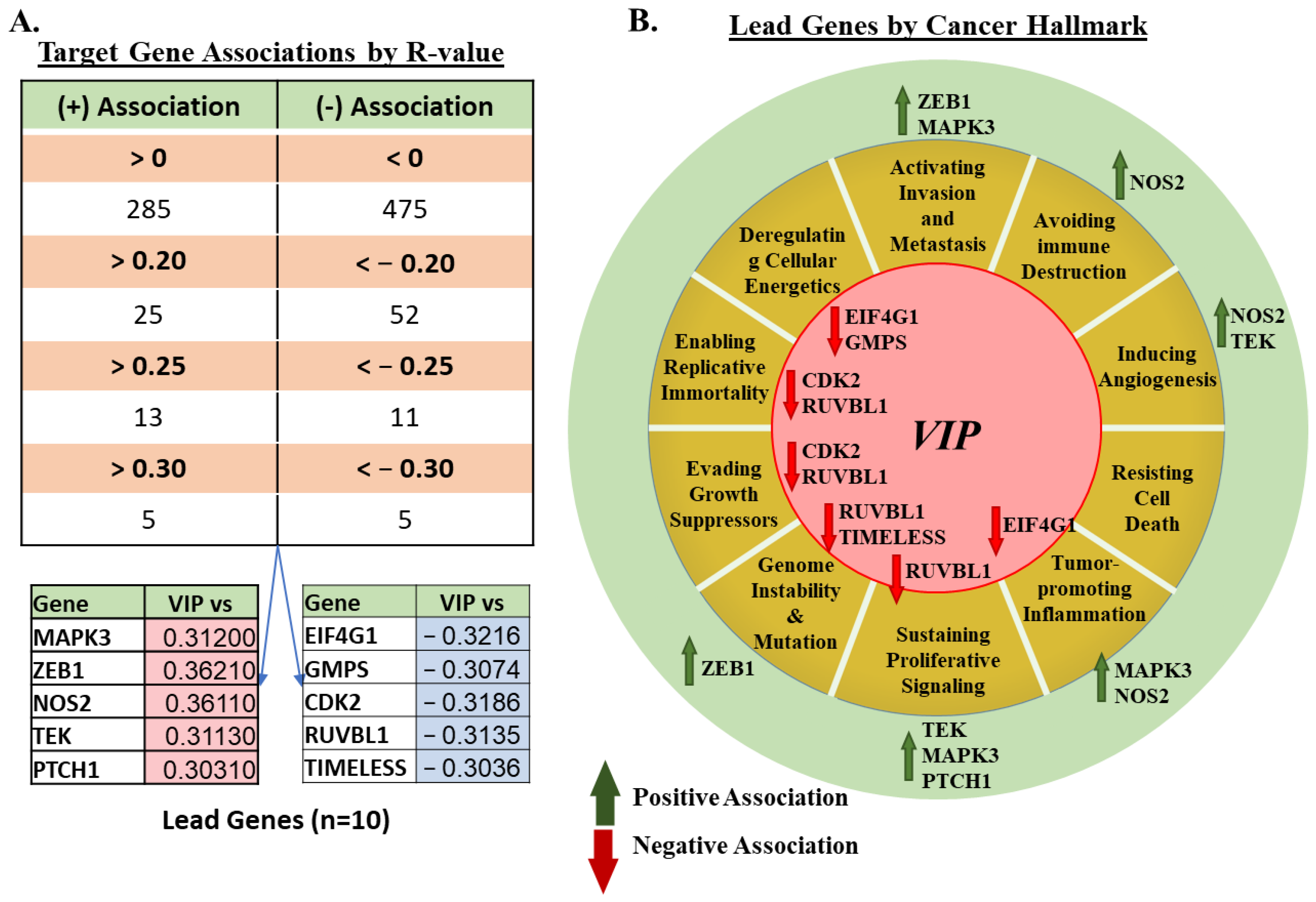 Cancers 15 03284 g002